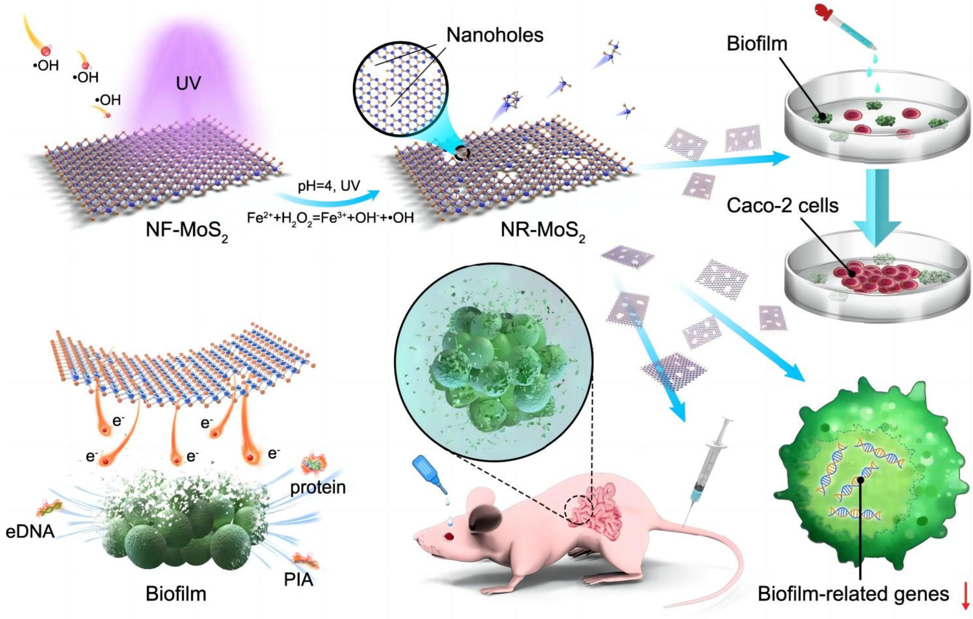 Coatings 14 00254 g004 Coatings 14 00254 g004