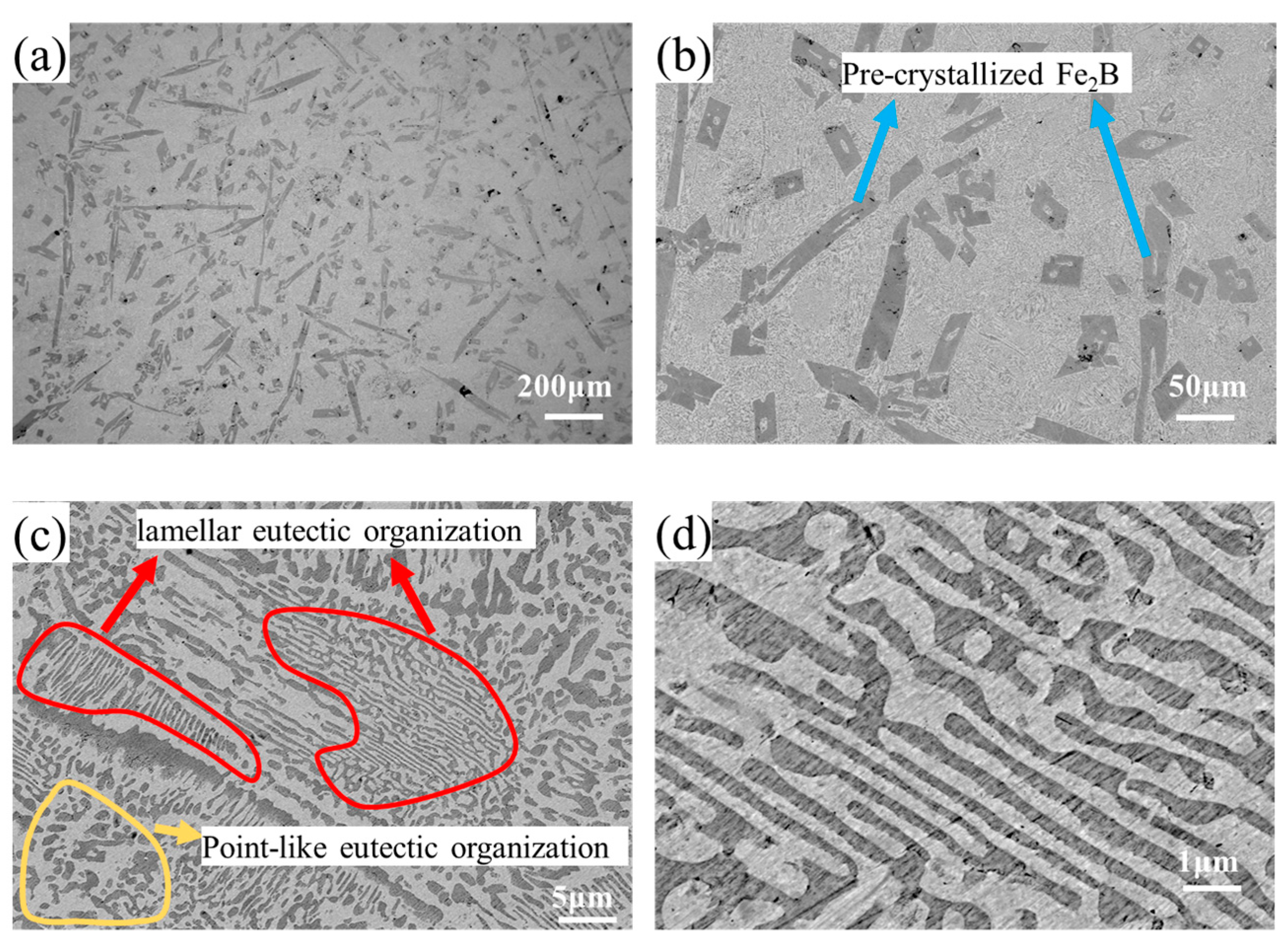 Coatings 14 00255 g004