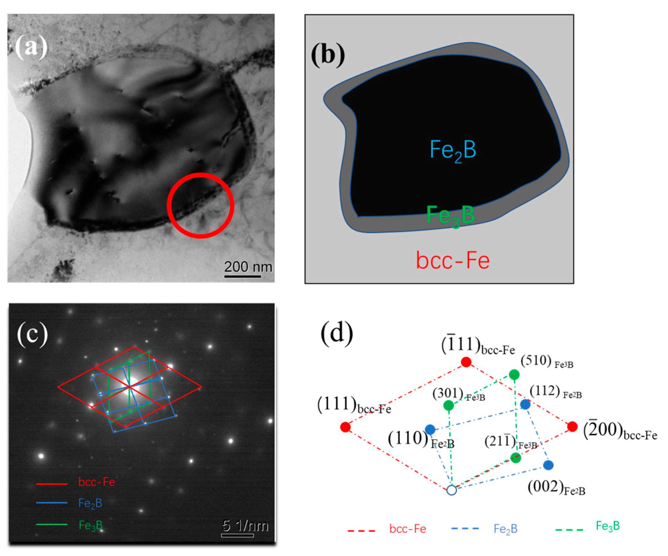 Coatings 14 00255 g008