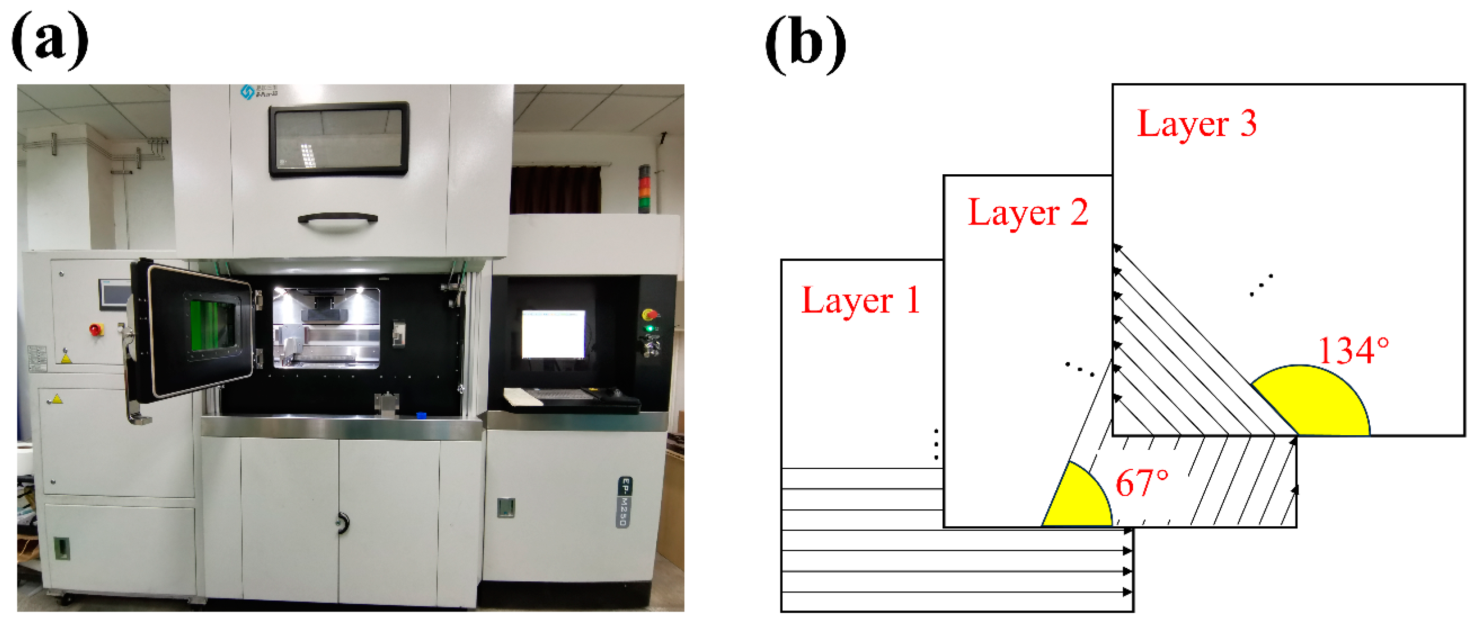 Coatings 14 00259 g002