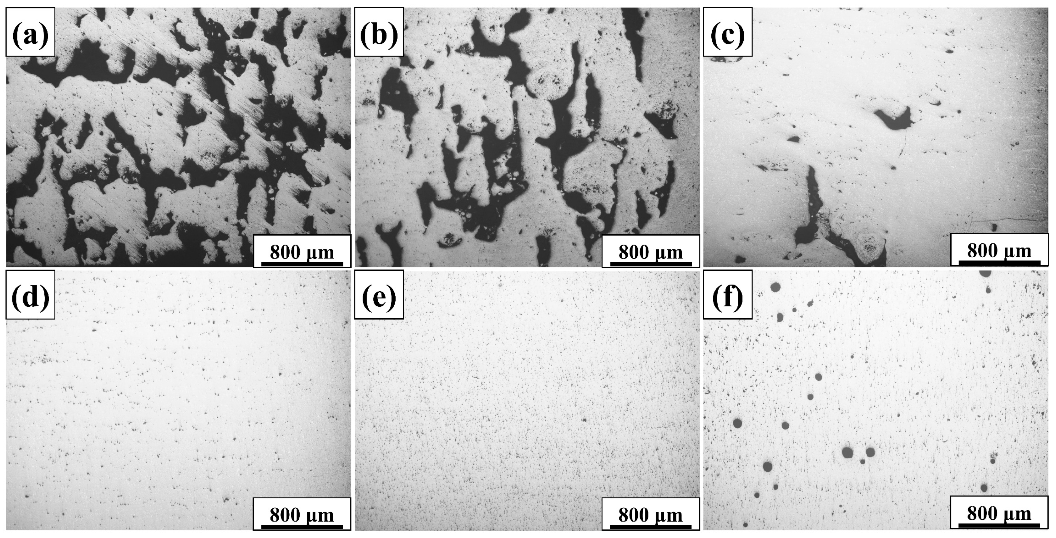 Coatings 14 00259 g005