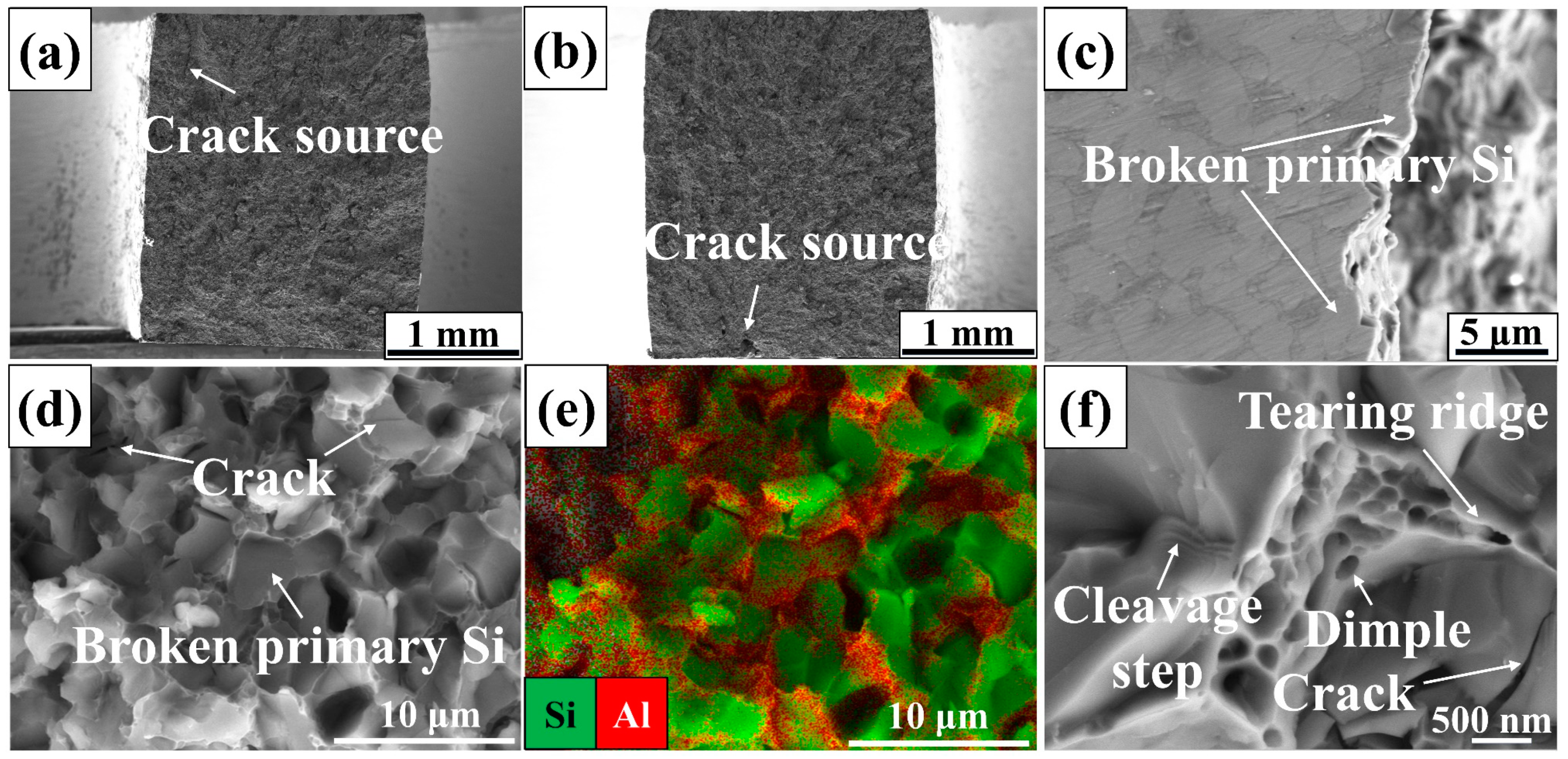 Coatings 14 00259 g013