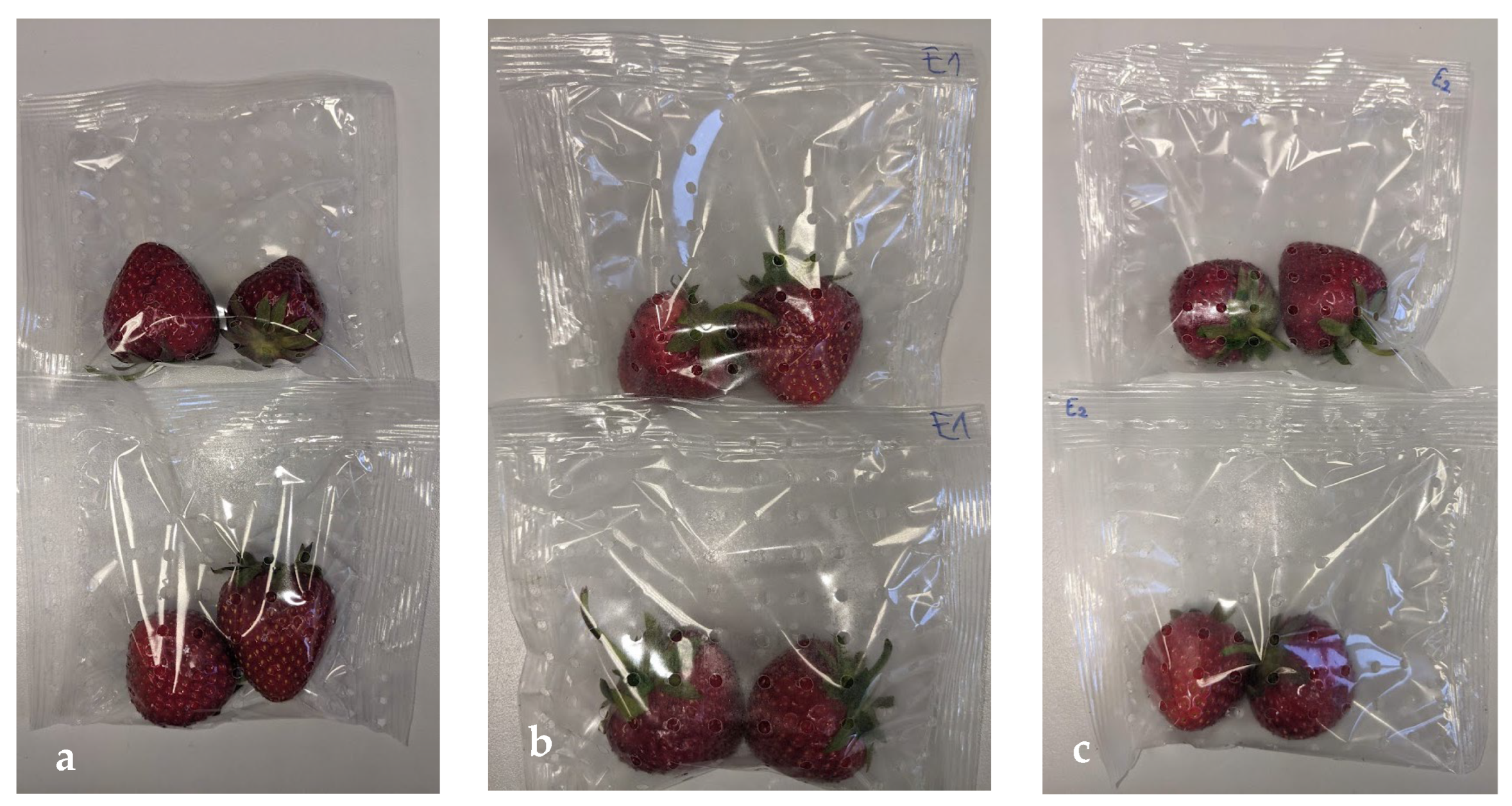 Coatings 14 00260 g001