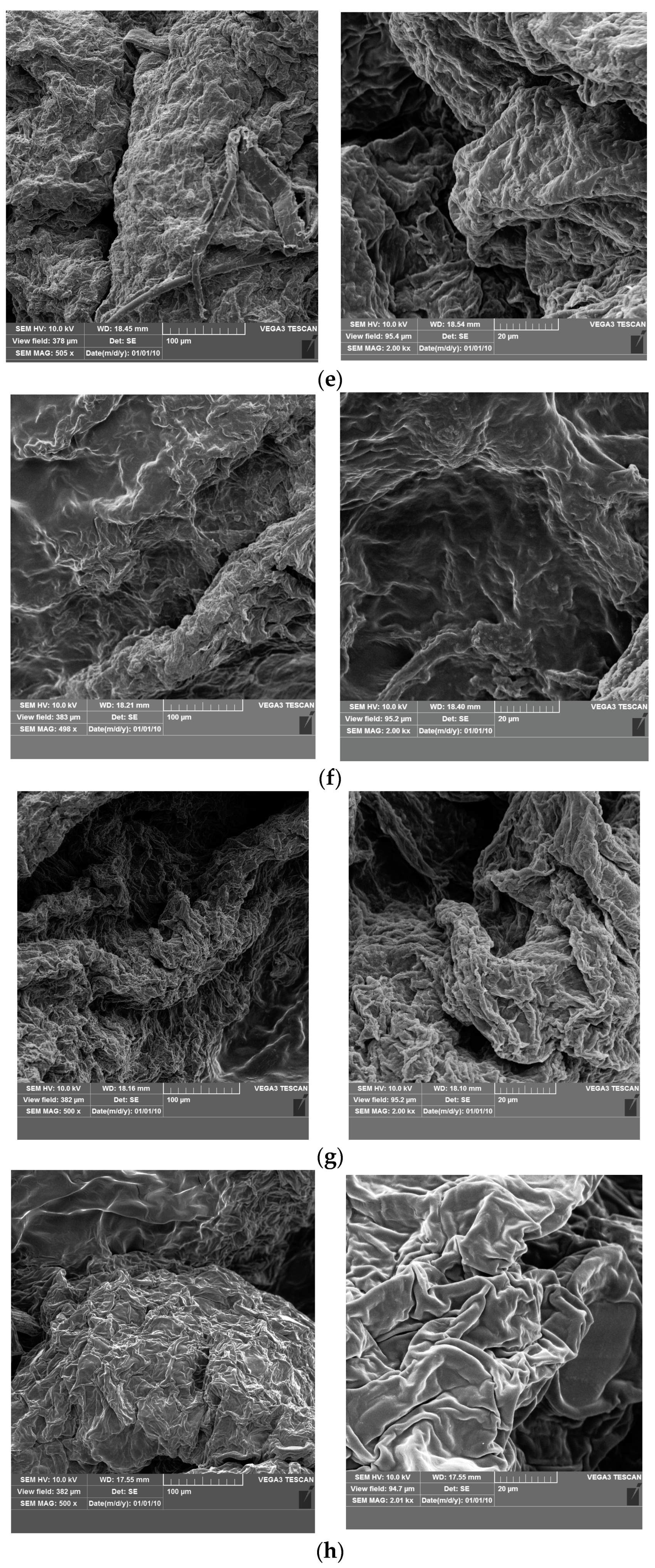 Coatings 14 00260 g006b