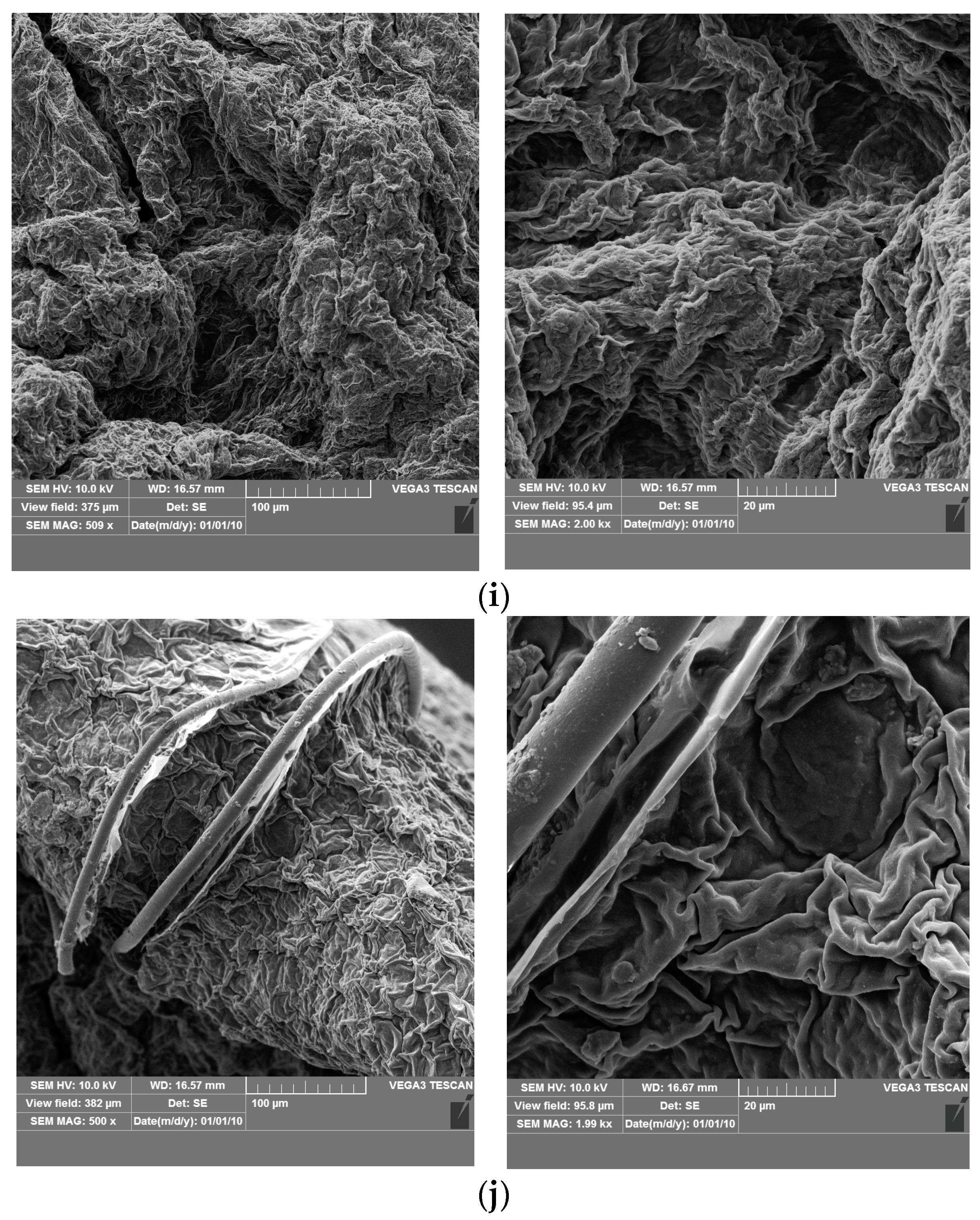 Coatings 14 00260 g006c
