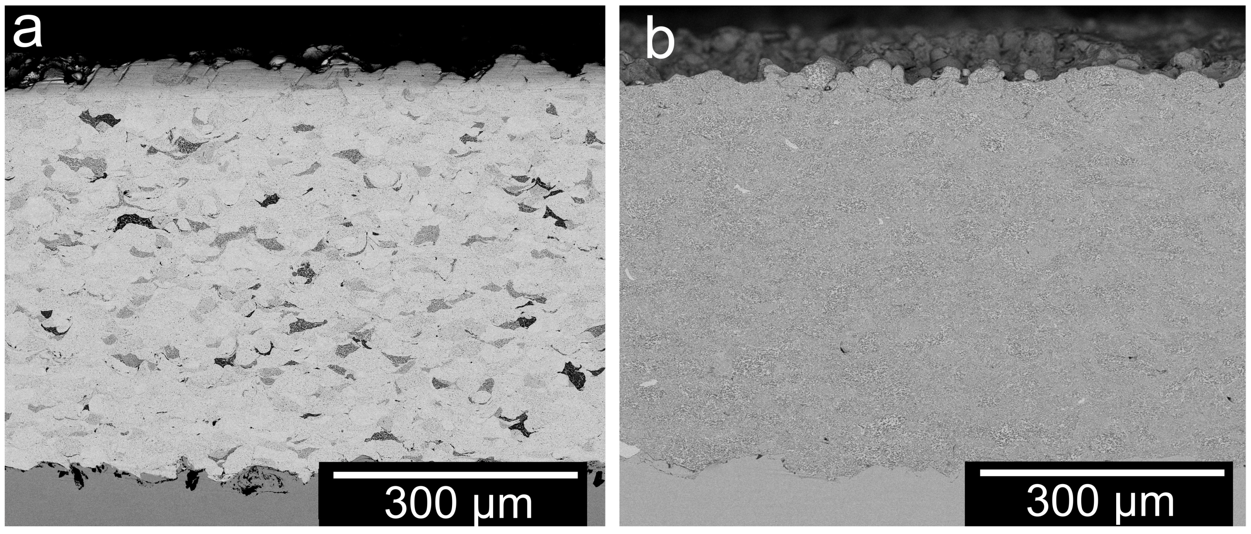 Coatings 14 00261 g004