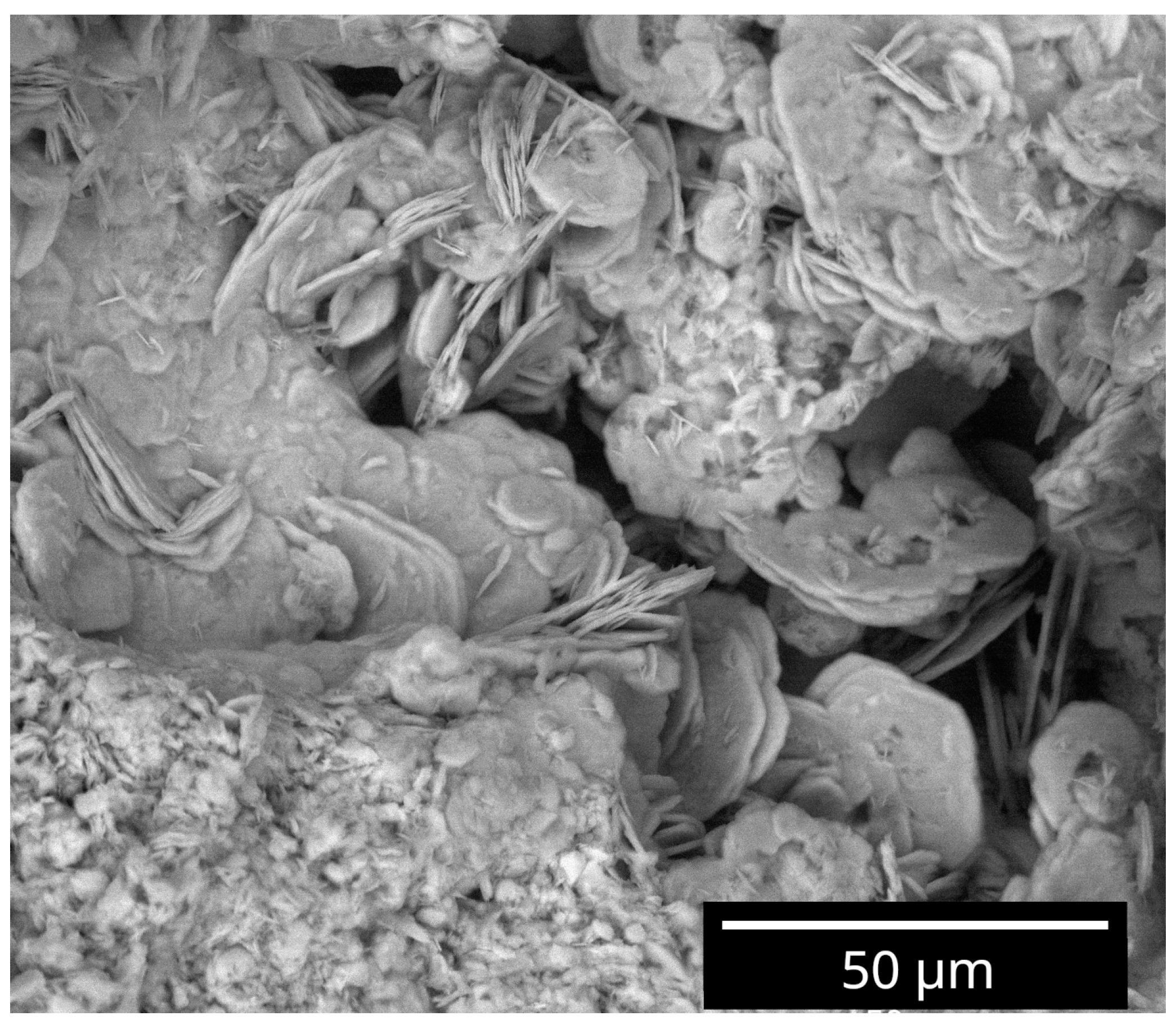 Coatings 14 00261 g011