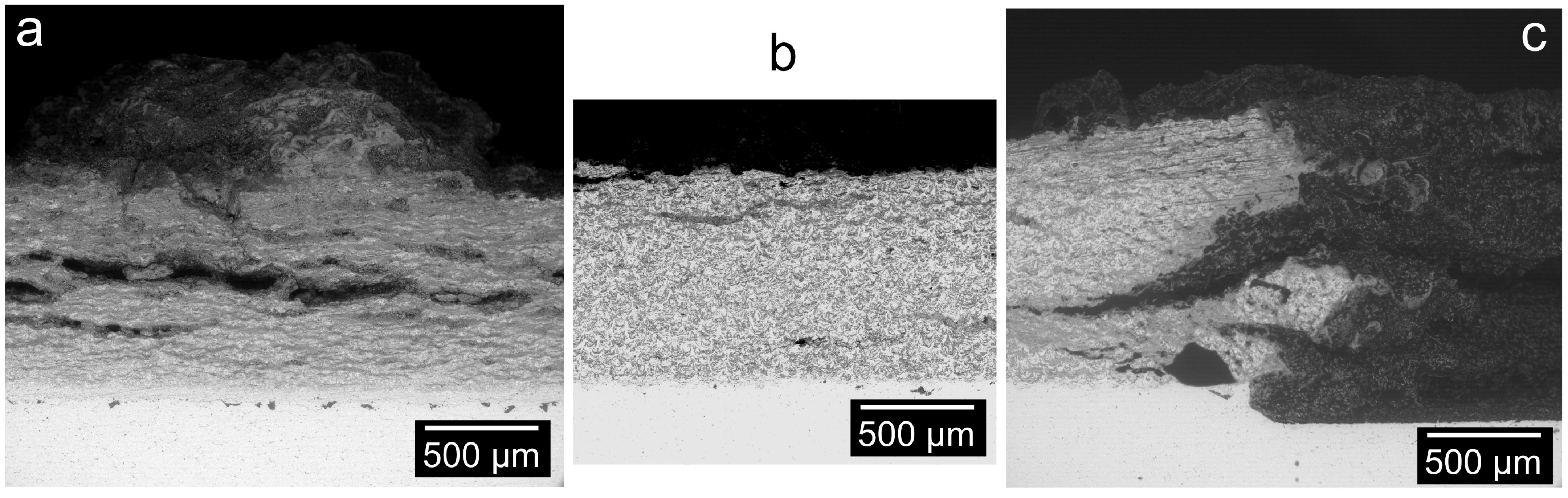 Coatings 14 00261 g013