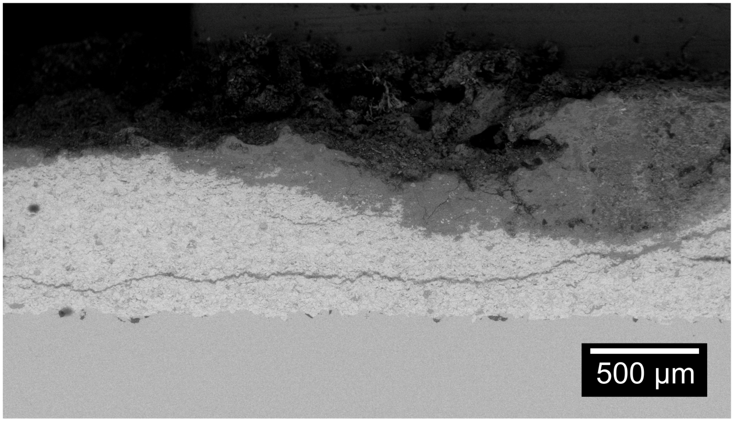 Coatings 14 00261 g014