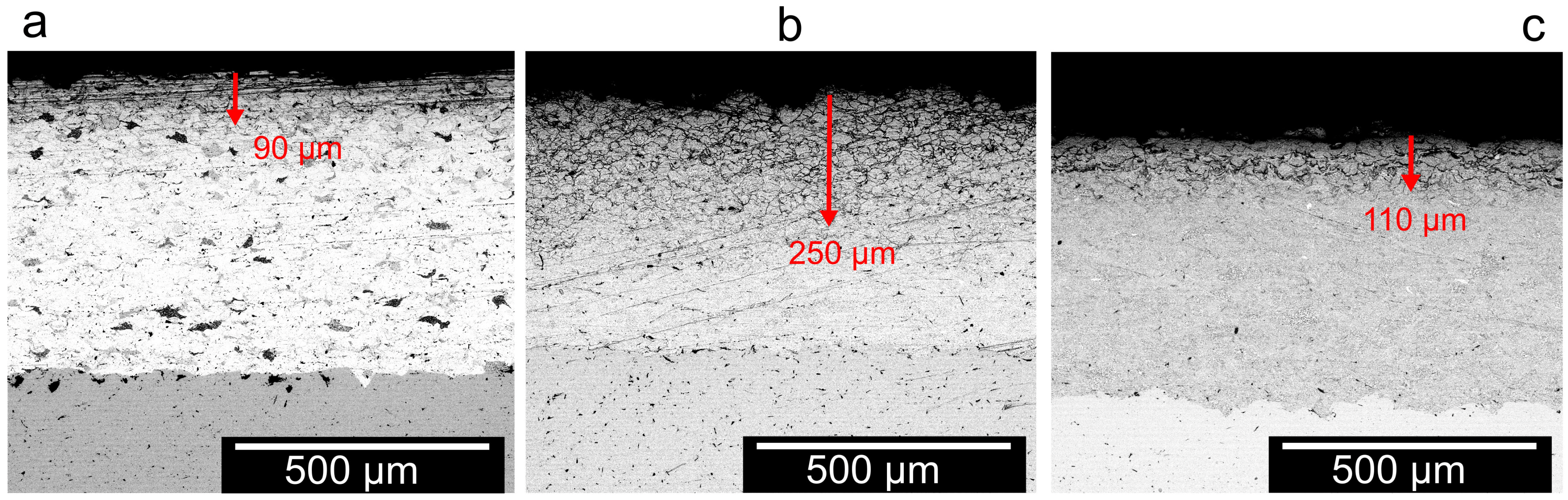 Coatings 14 00261 g015