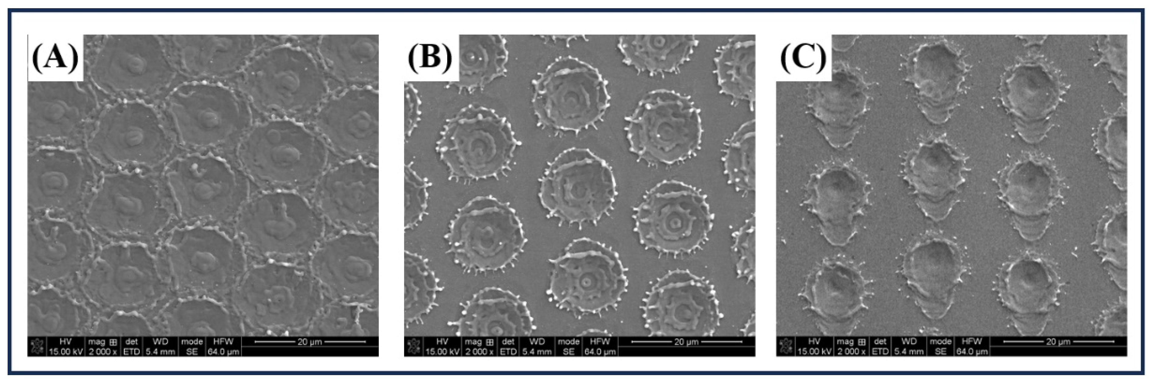 Coatings 14 00262 g003
