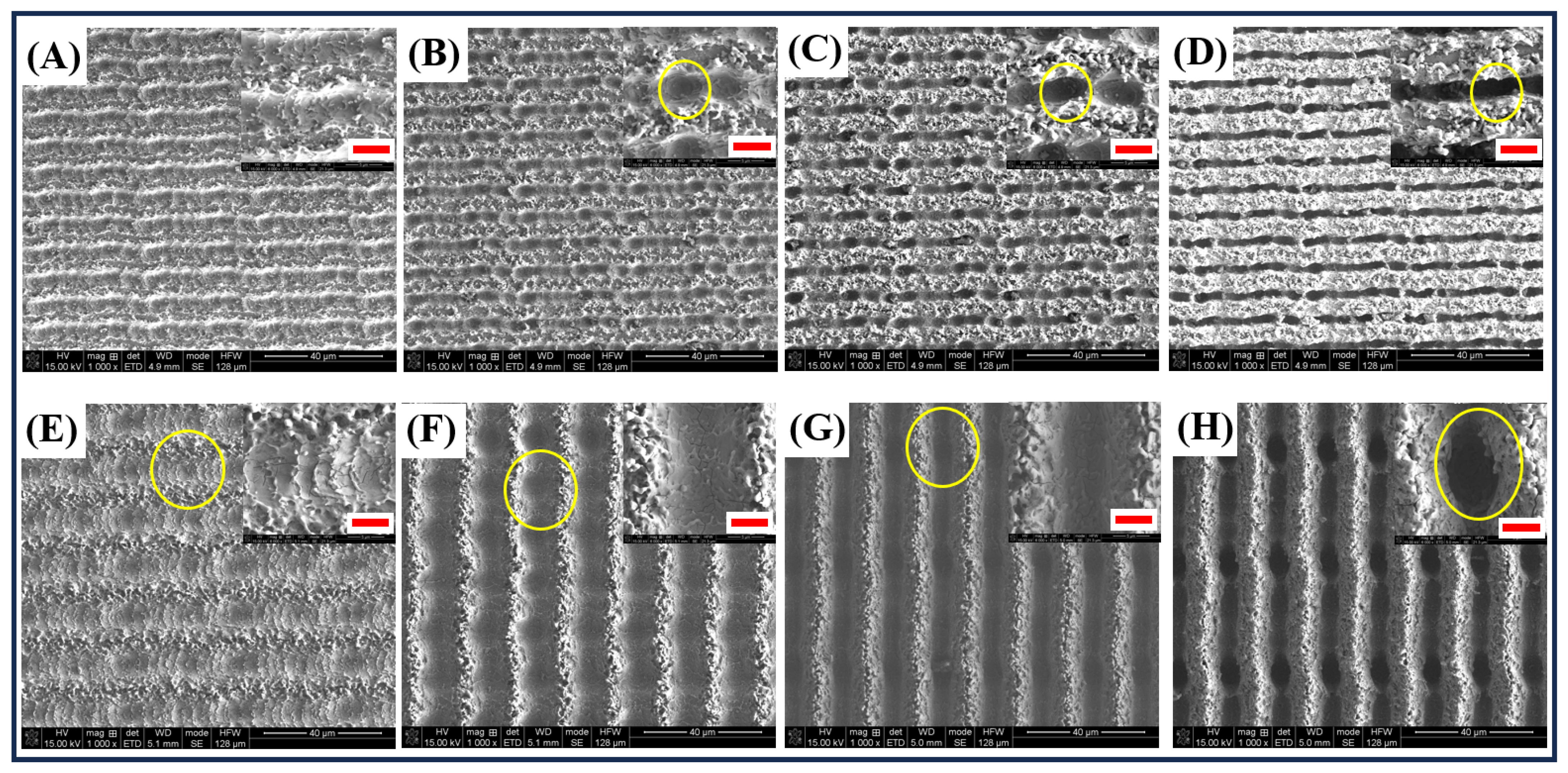 Coatings 14 00262 g004