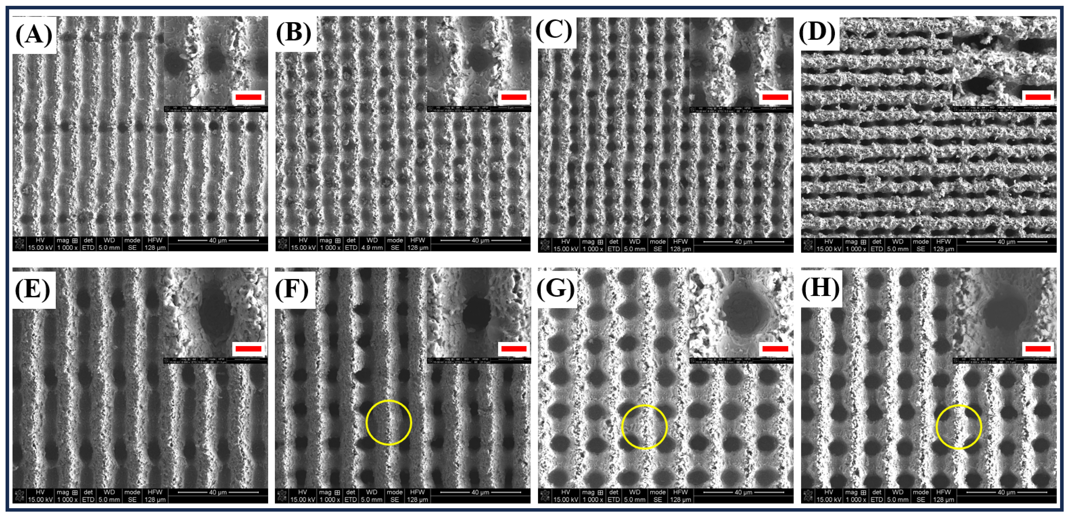 Coatings 14 00262 g005