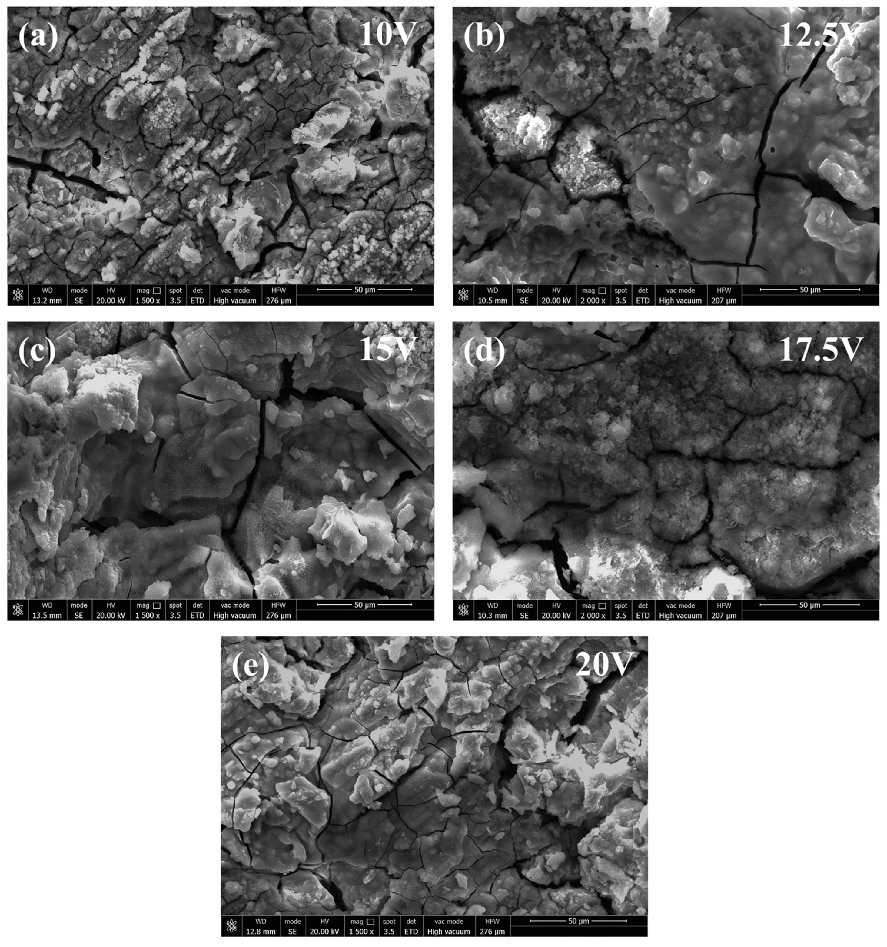 Coatings 14 00271 g001