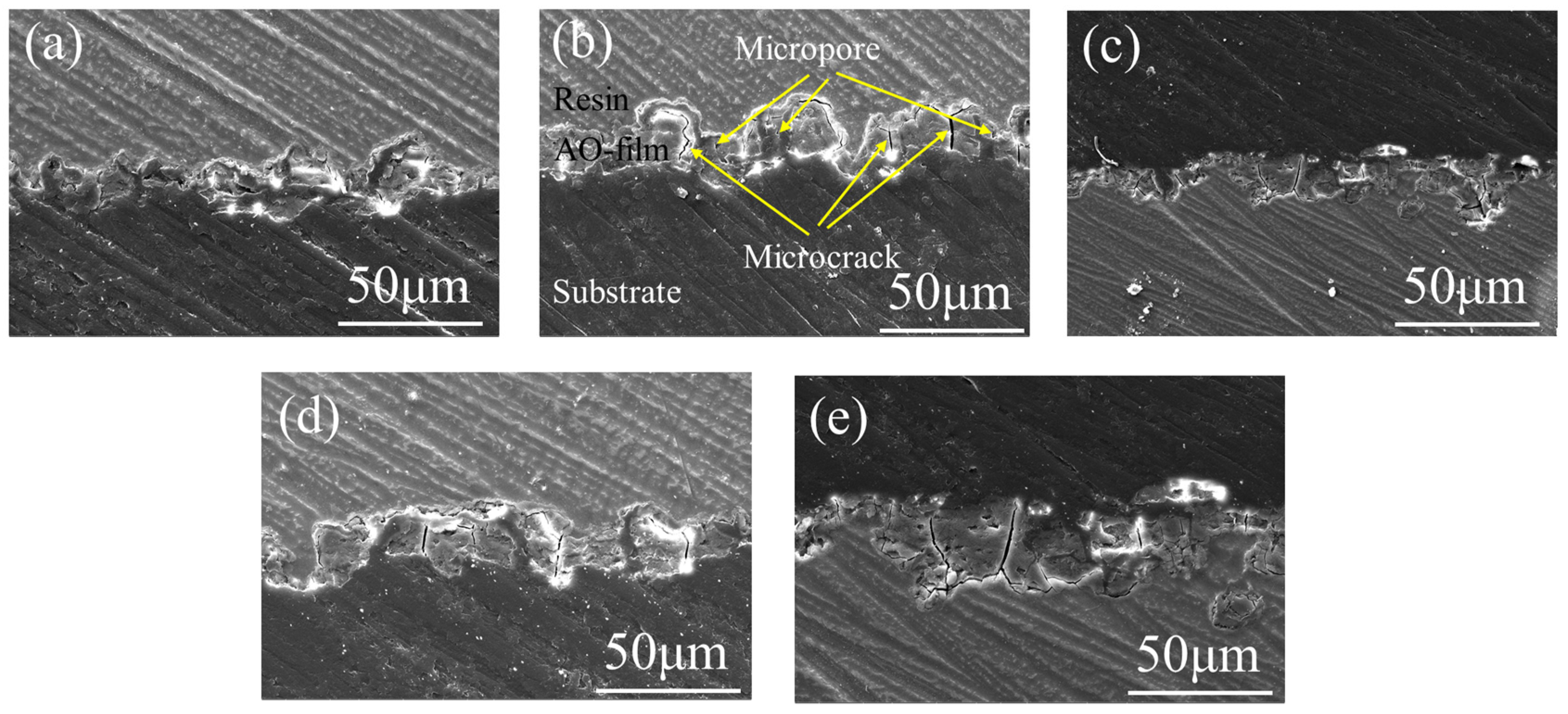 Coatings 14 00271 g002