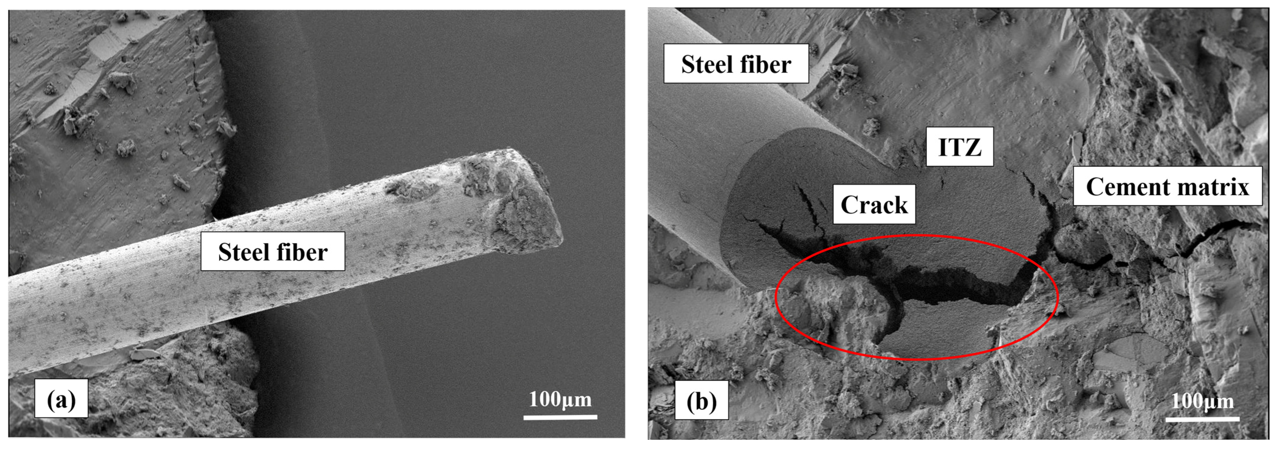 Coatings 14 00274 g012