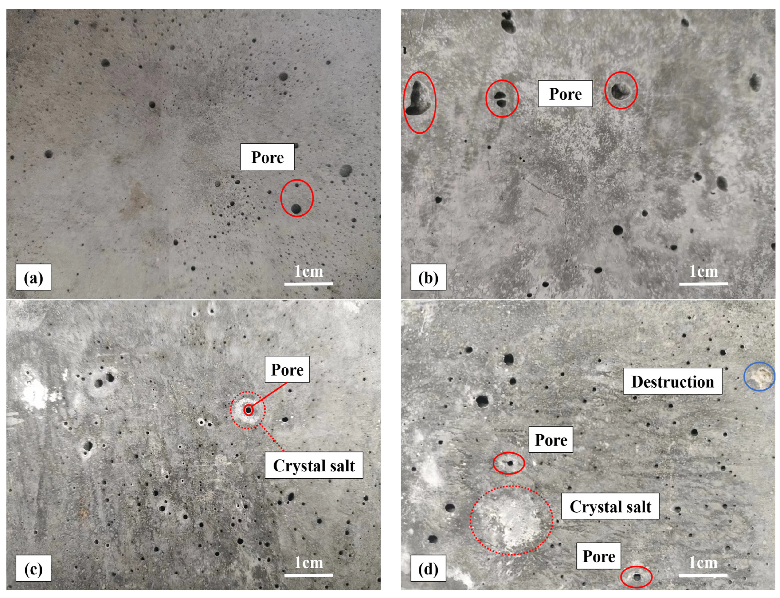 Coatings 14 00274 g013
