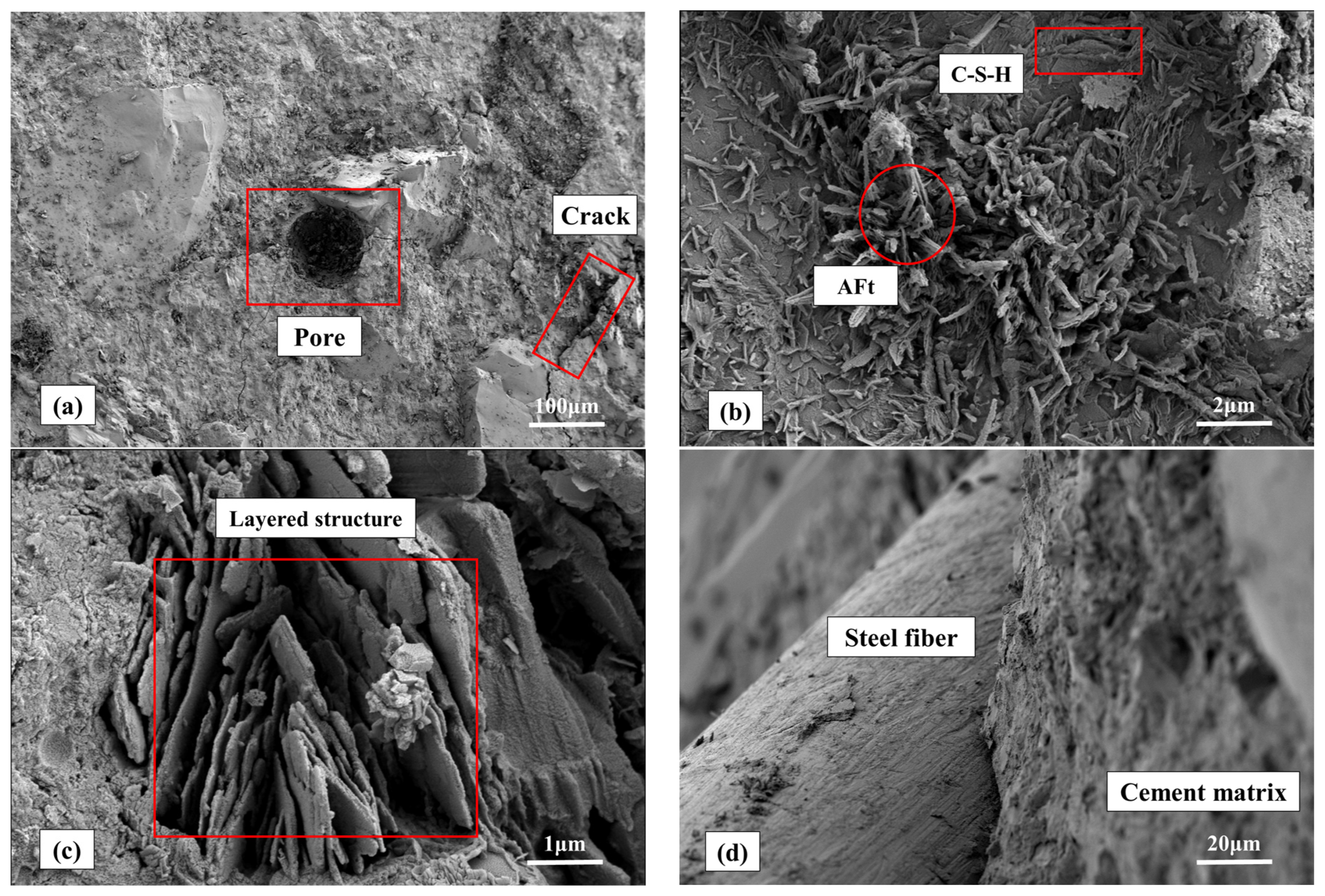 Coatings 14 00274 g019