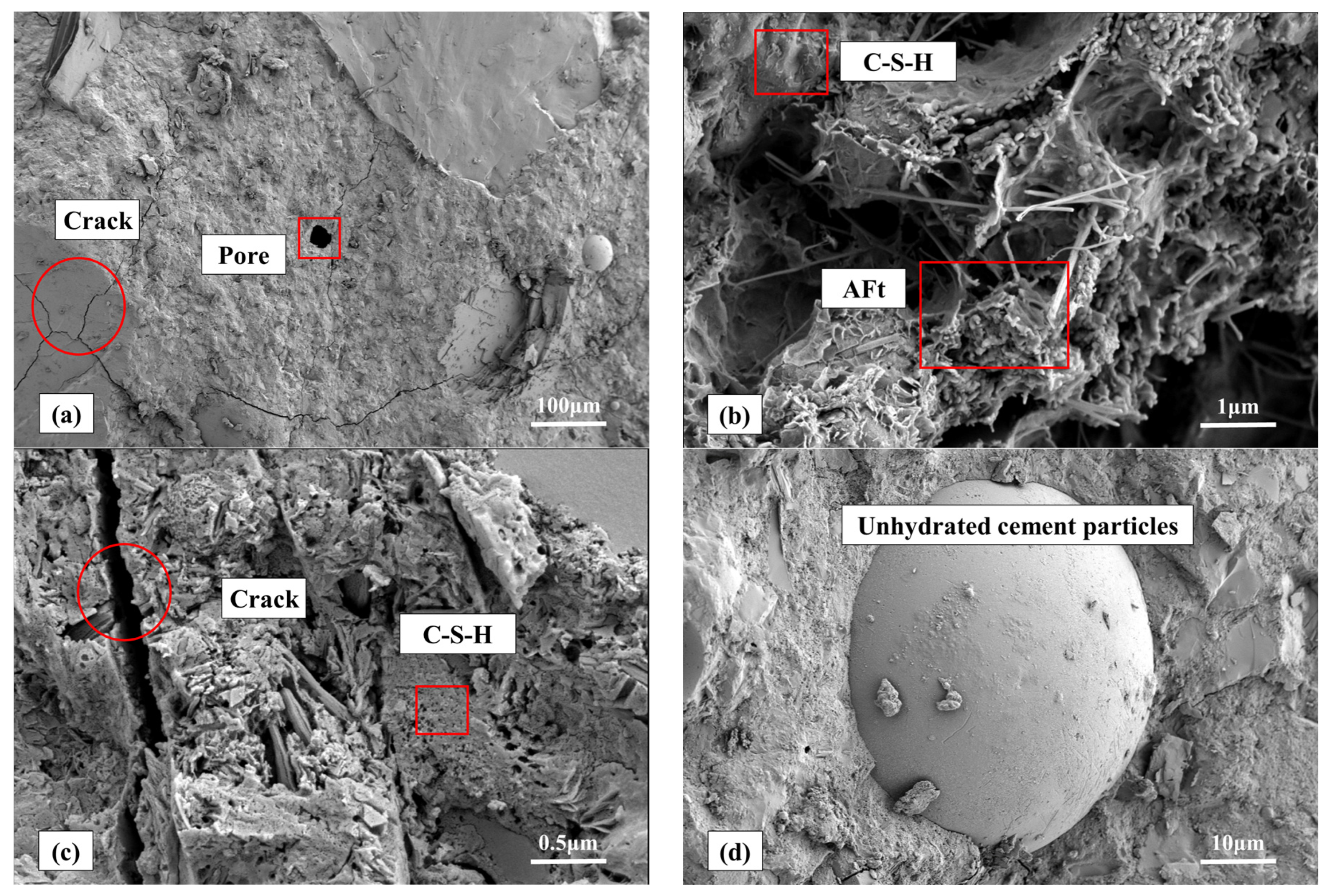 Coatings 14 00274 g021