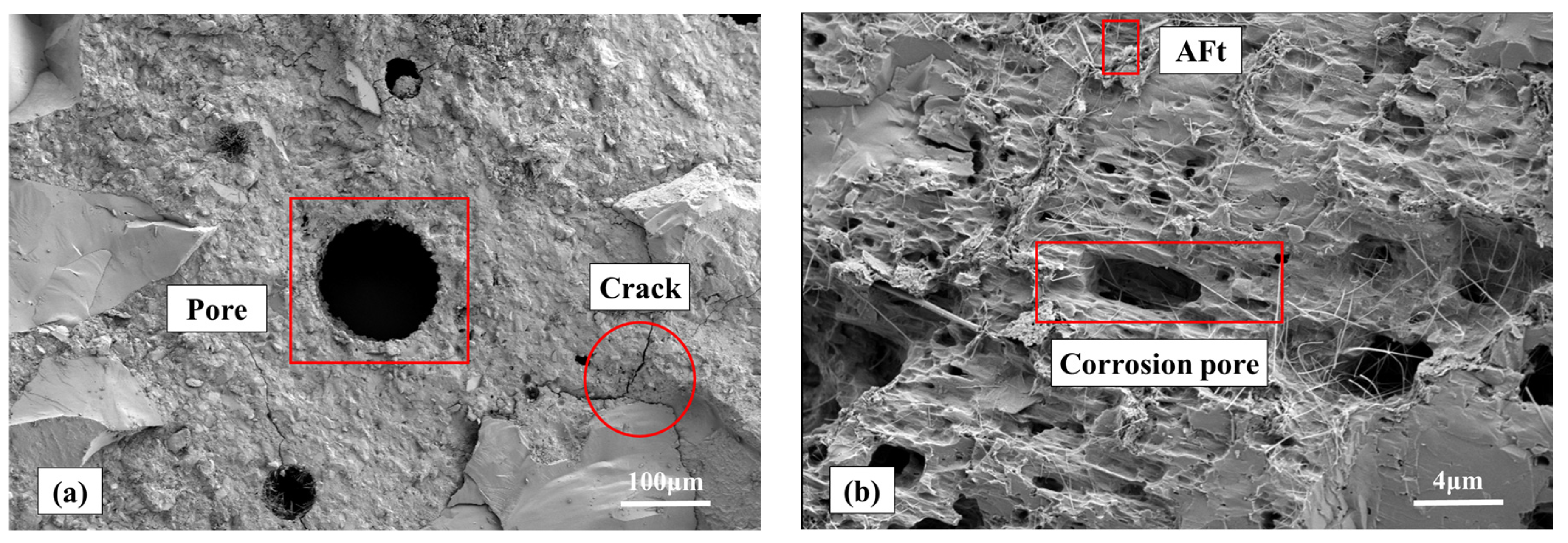 Coatings 14 00274 g022a
