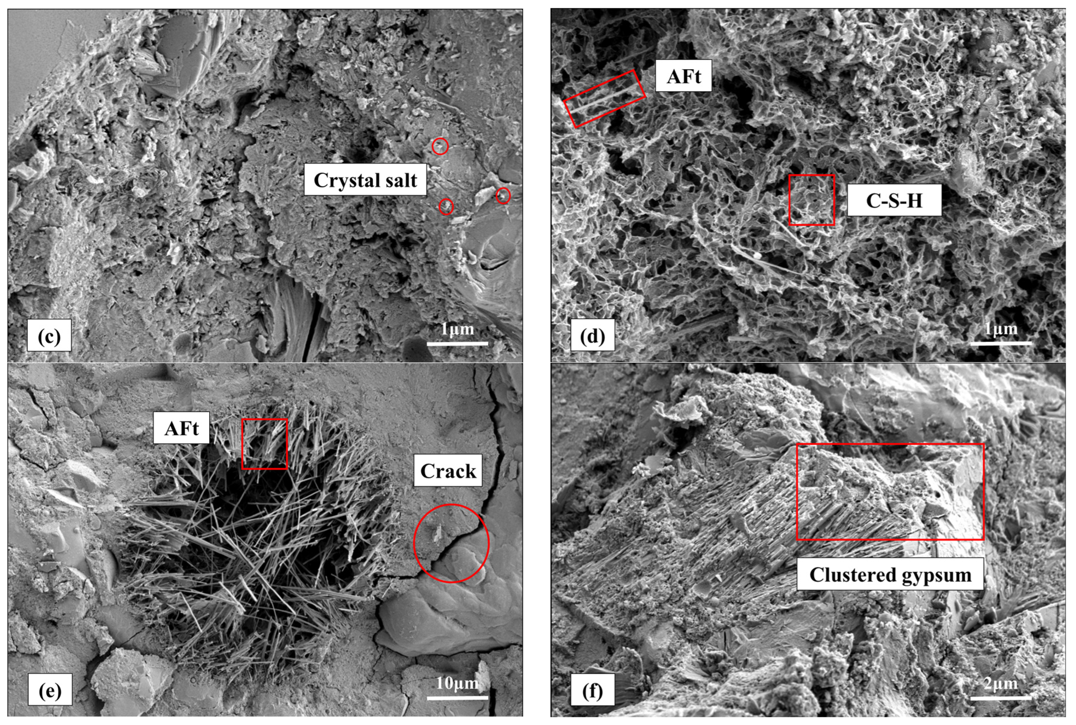 Coatings 14 00274 g022b