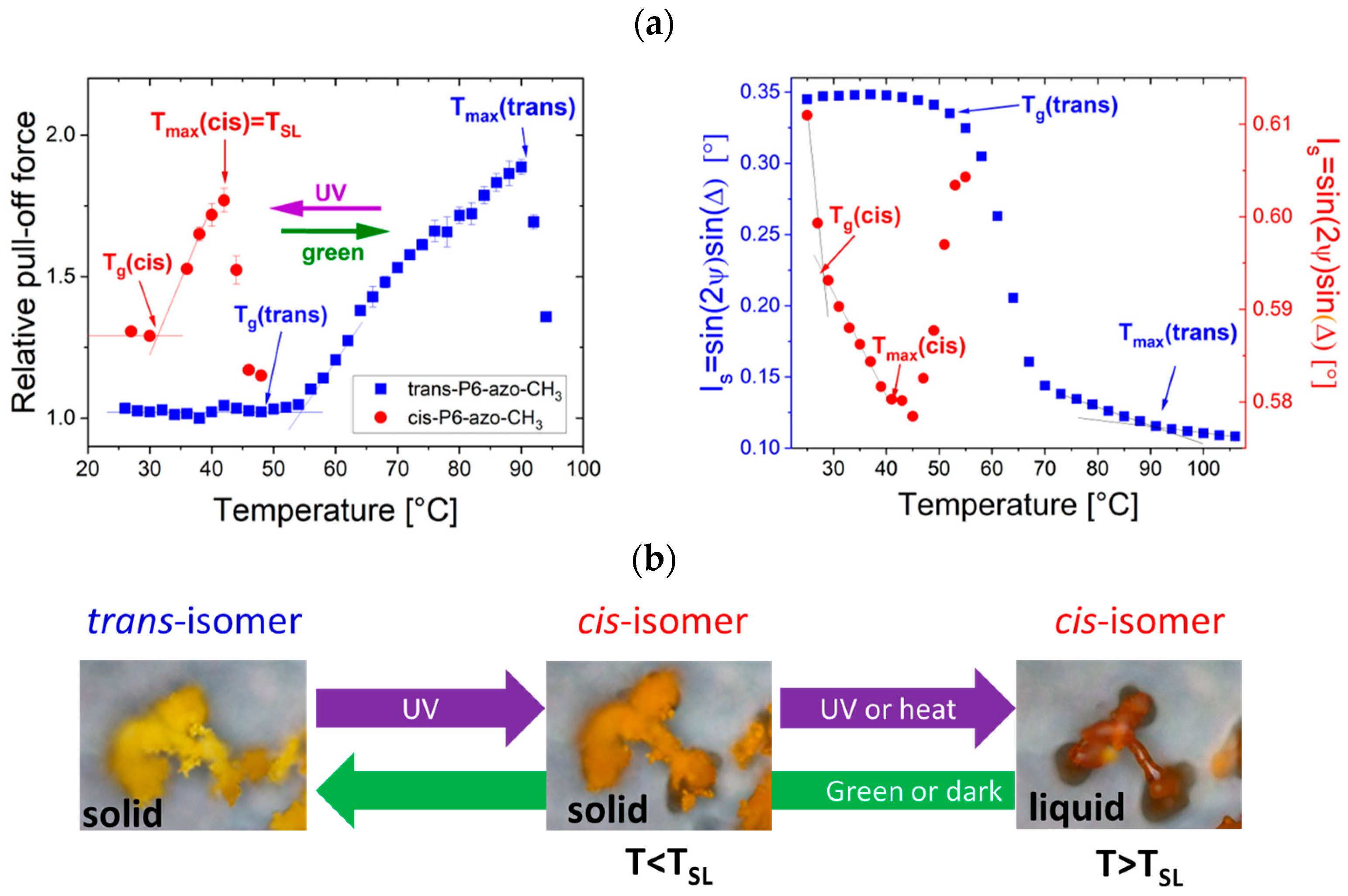 Coatings 14 00275 g001