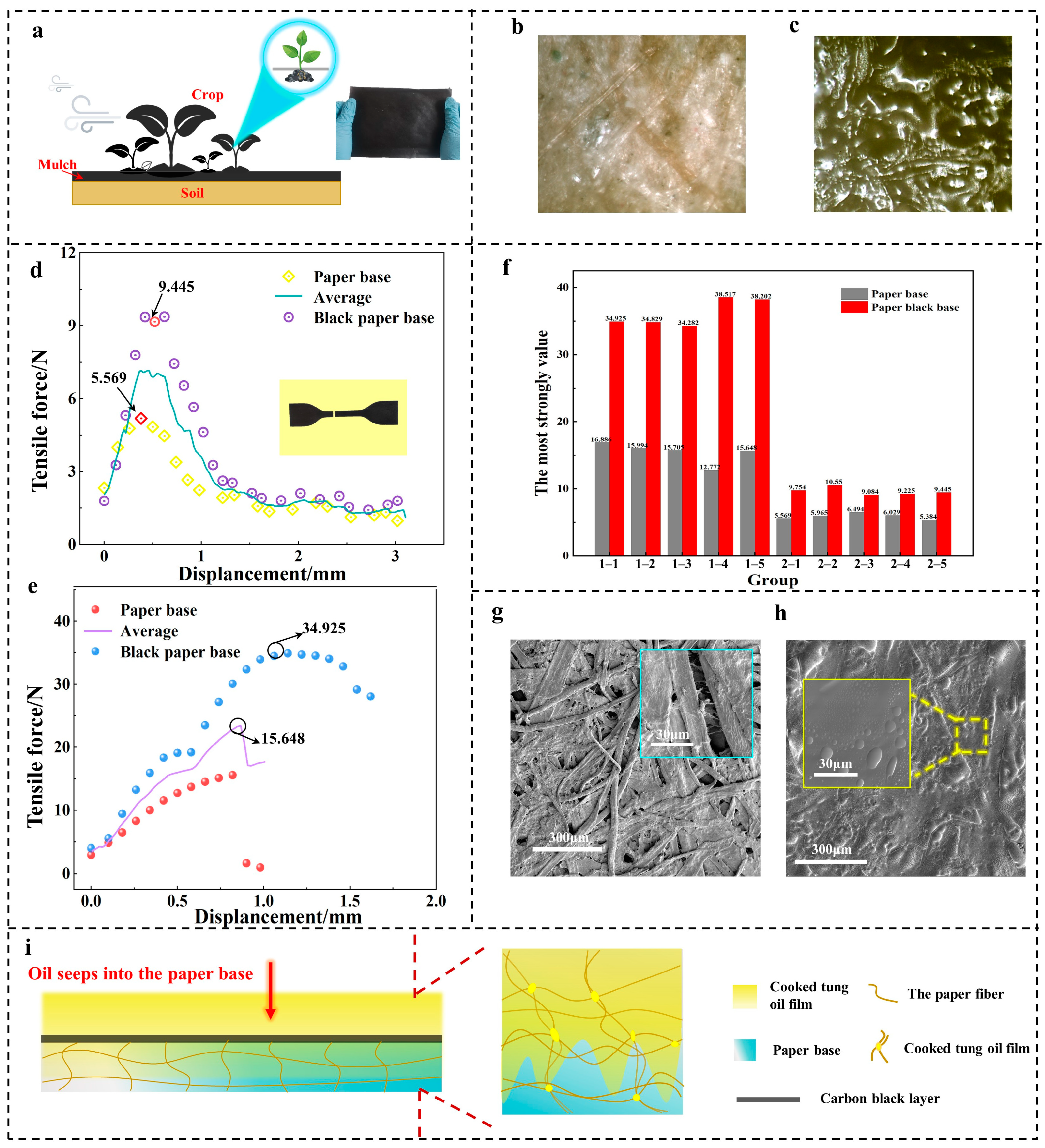 Coatings 14 00284 g003