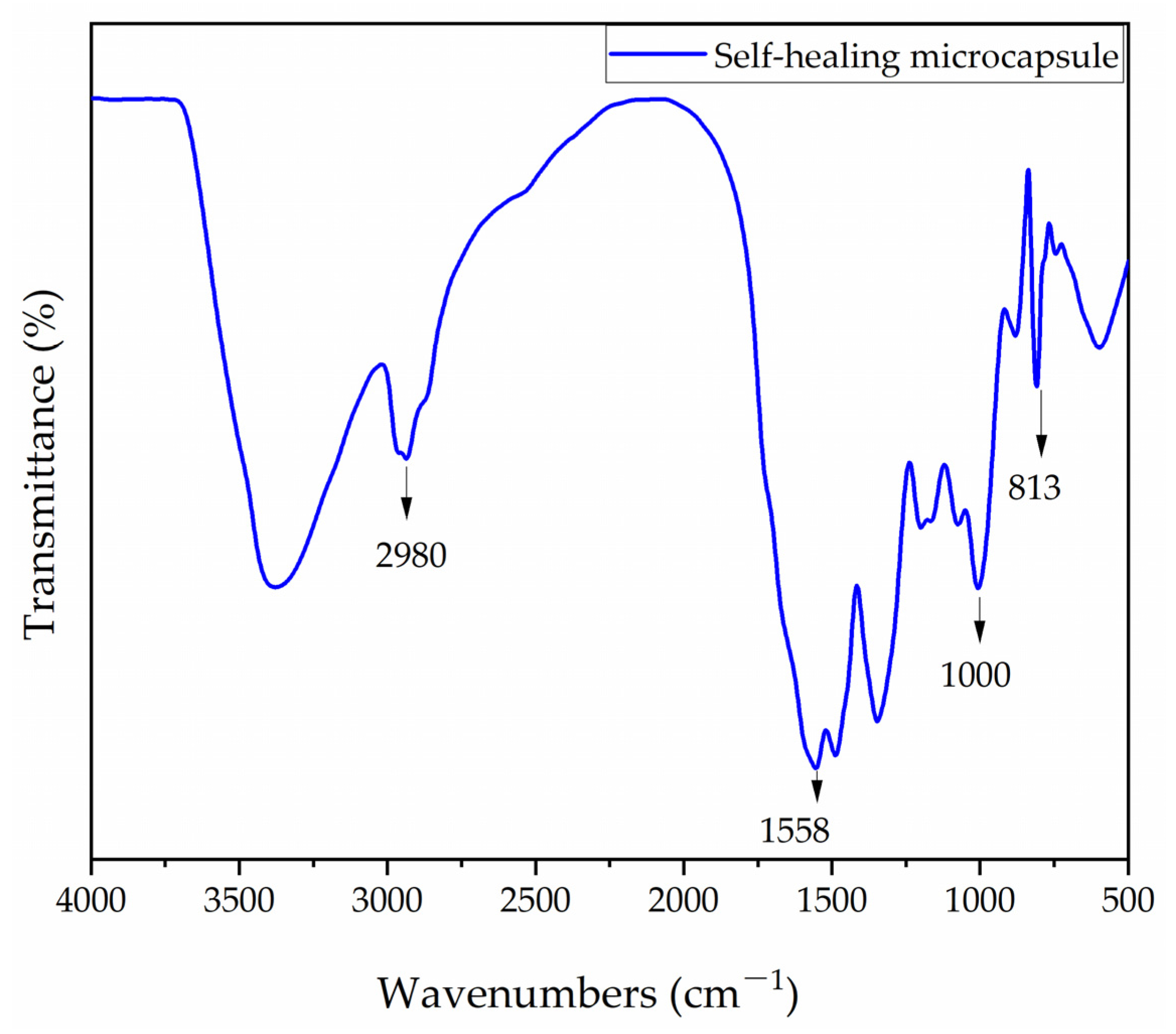 Coatings 14 00286 g001