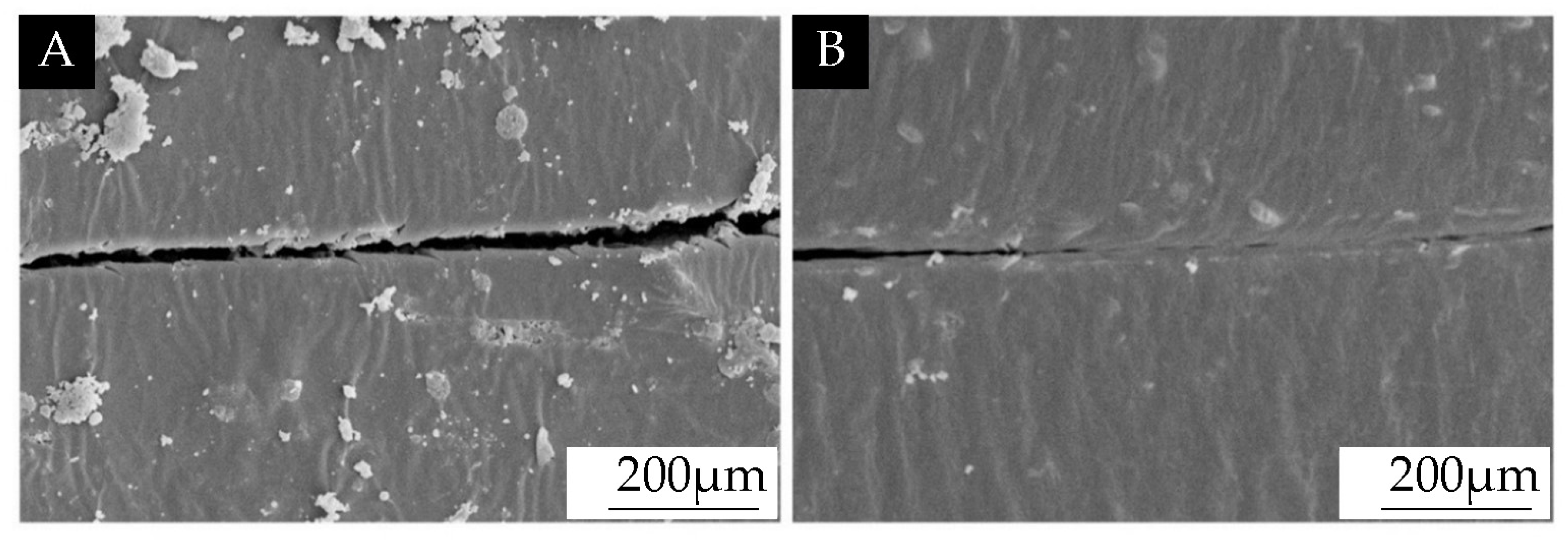 Coatings 14 00286 g011