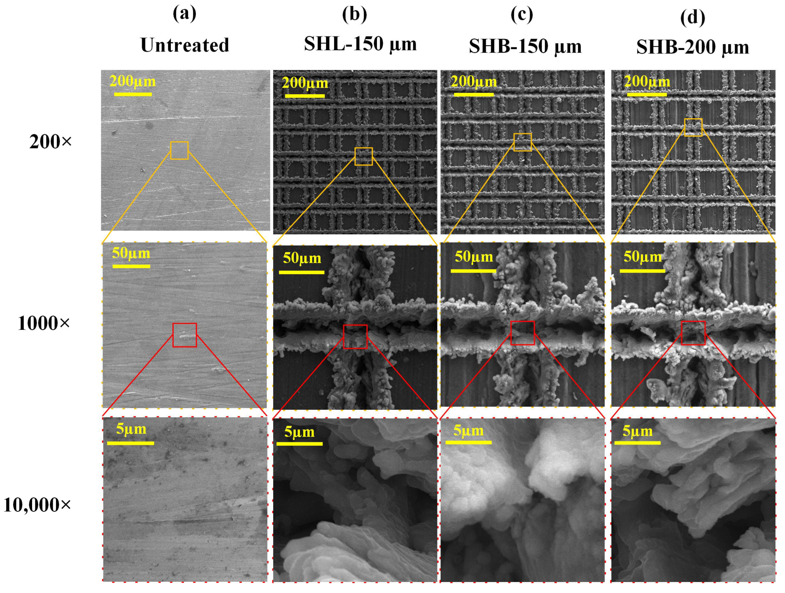 Coatings 14 00287 g002