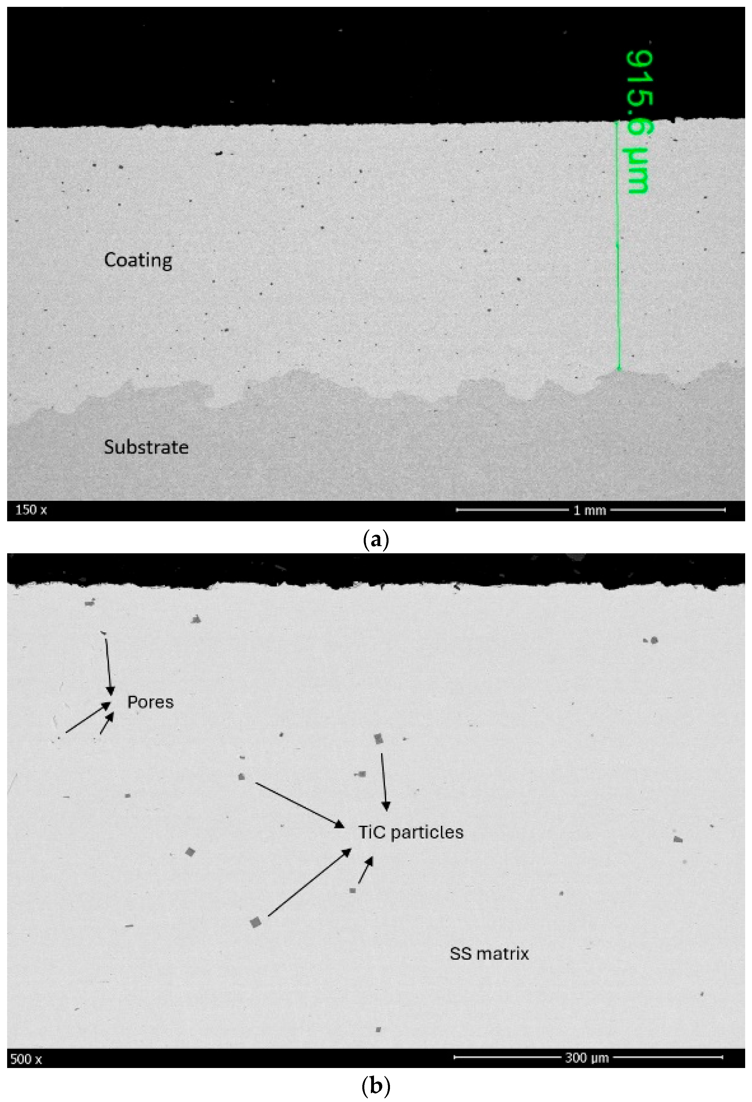 Coatings 14 00289 g002a
