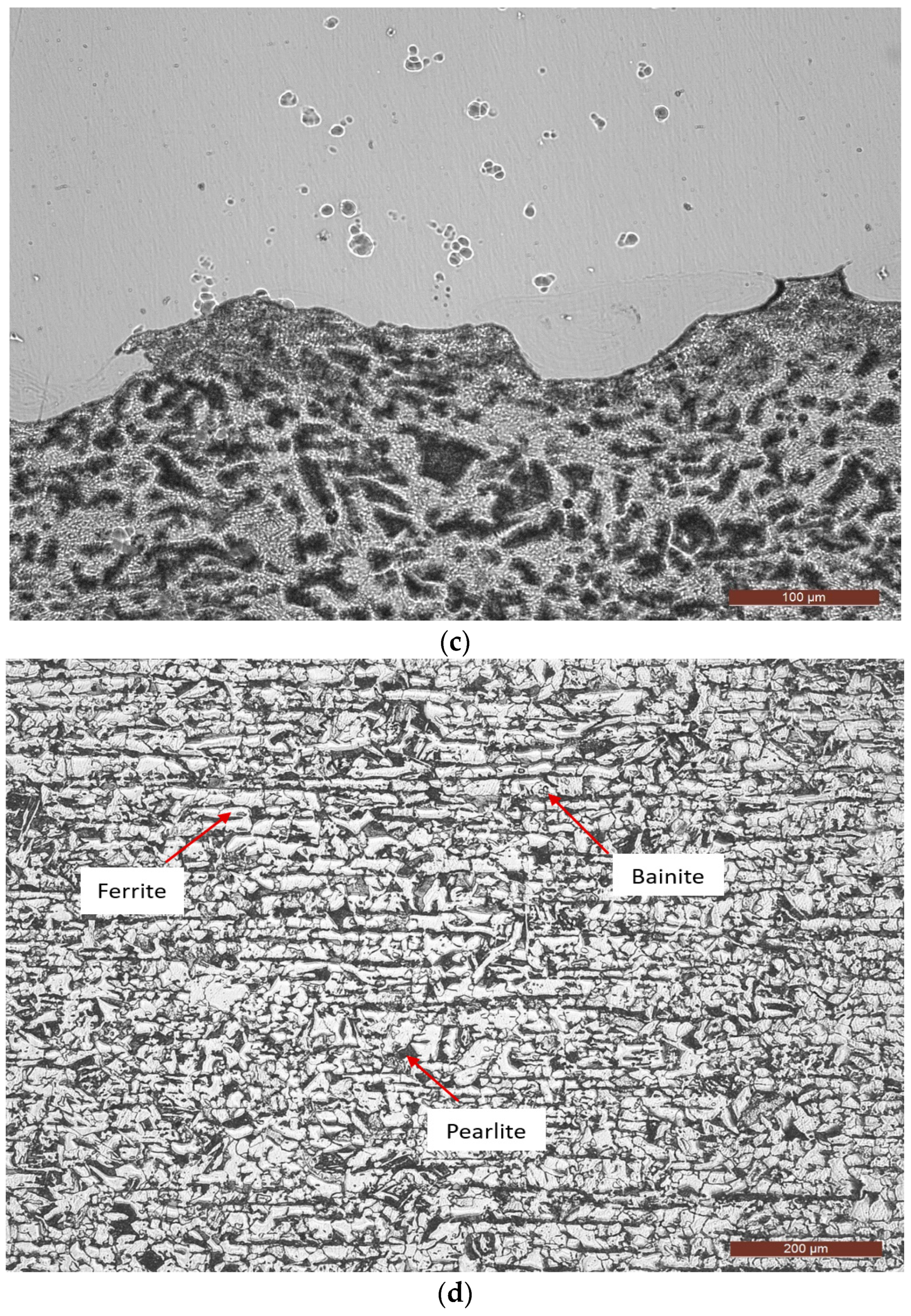 Coatings 14 00289 g002b
