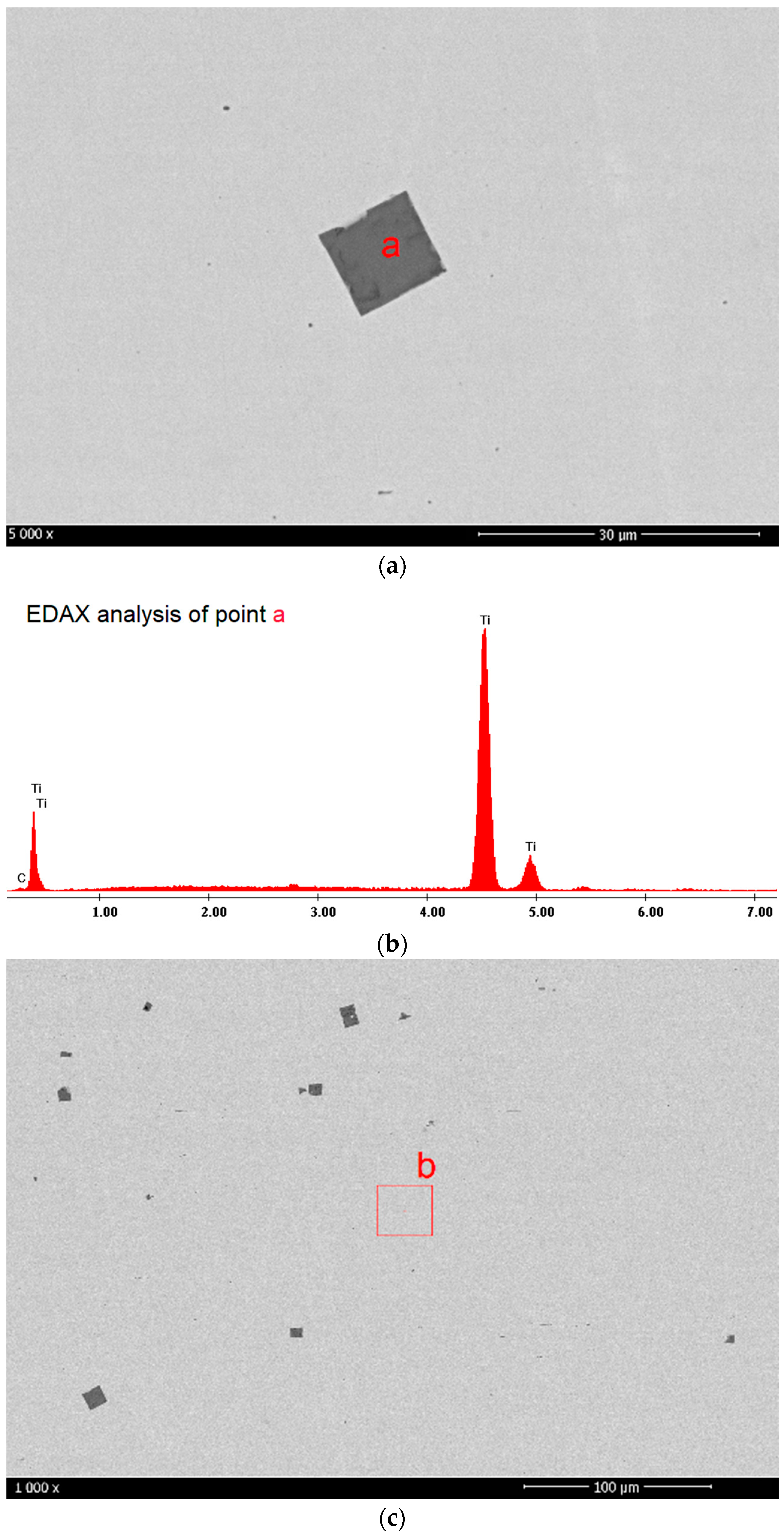 Coatings 14 00289 g003a
