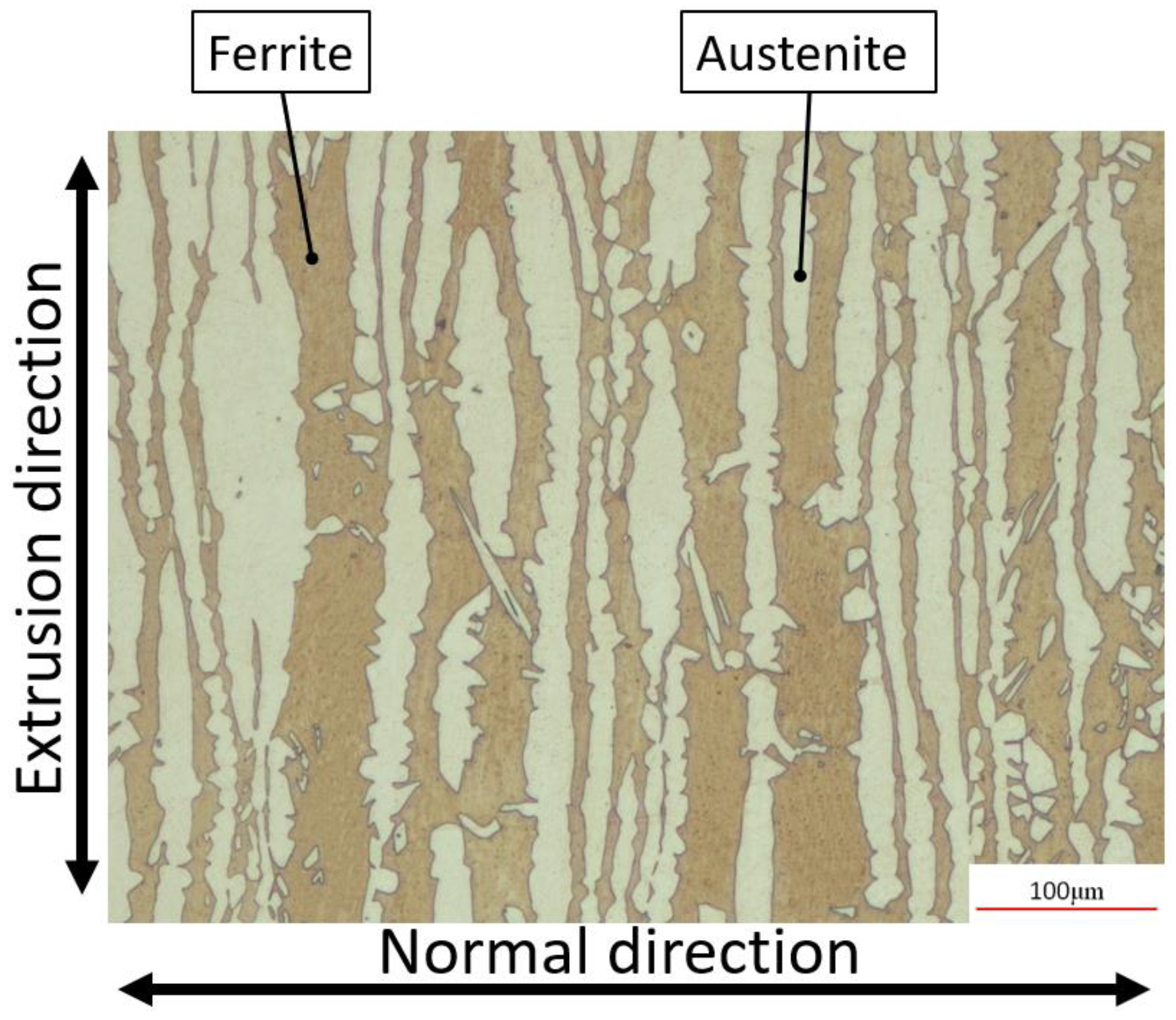 Coatings 14 00290 g001