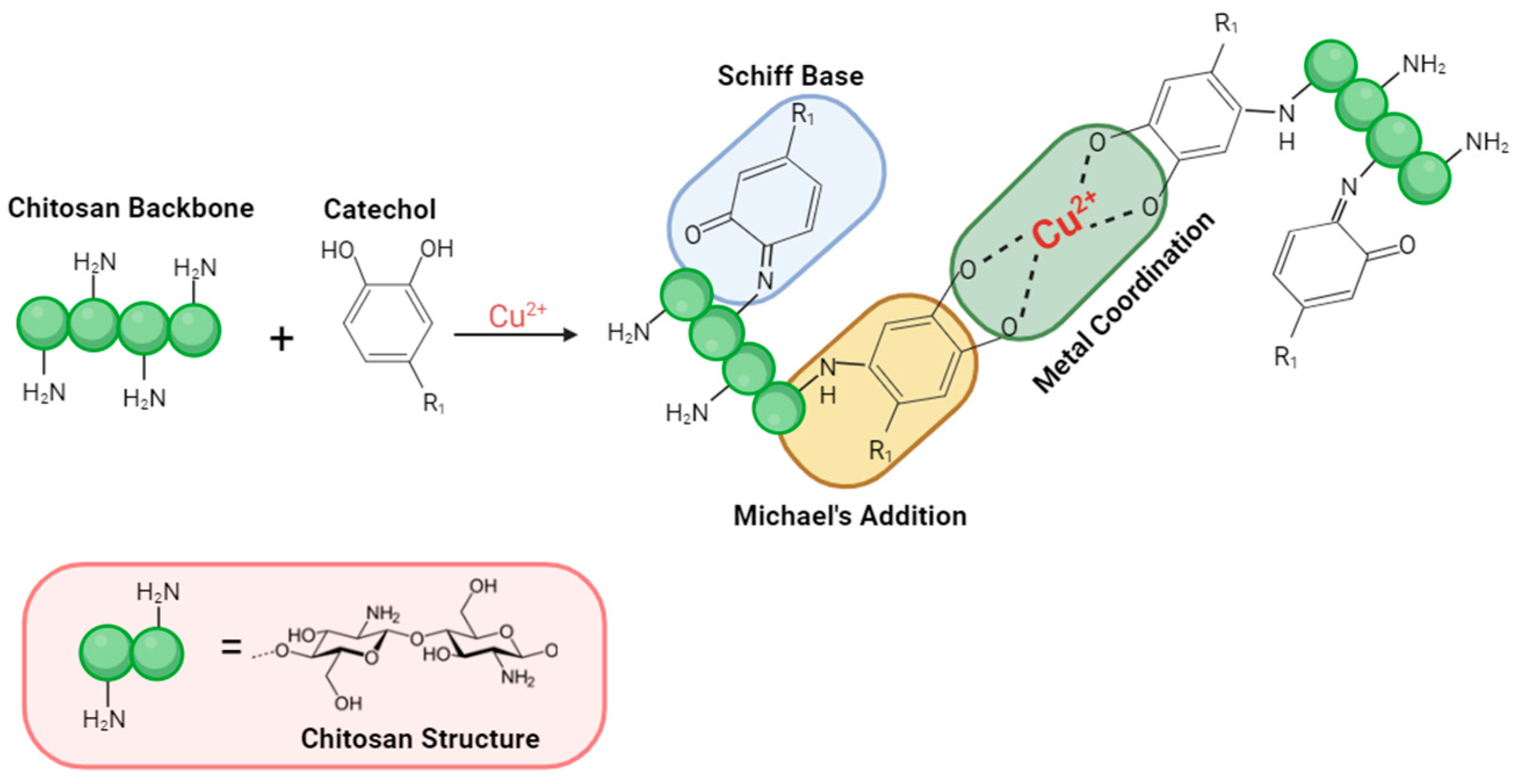 Coatings 14 00291 g001
