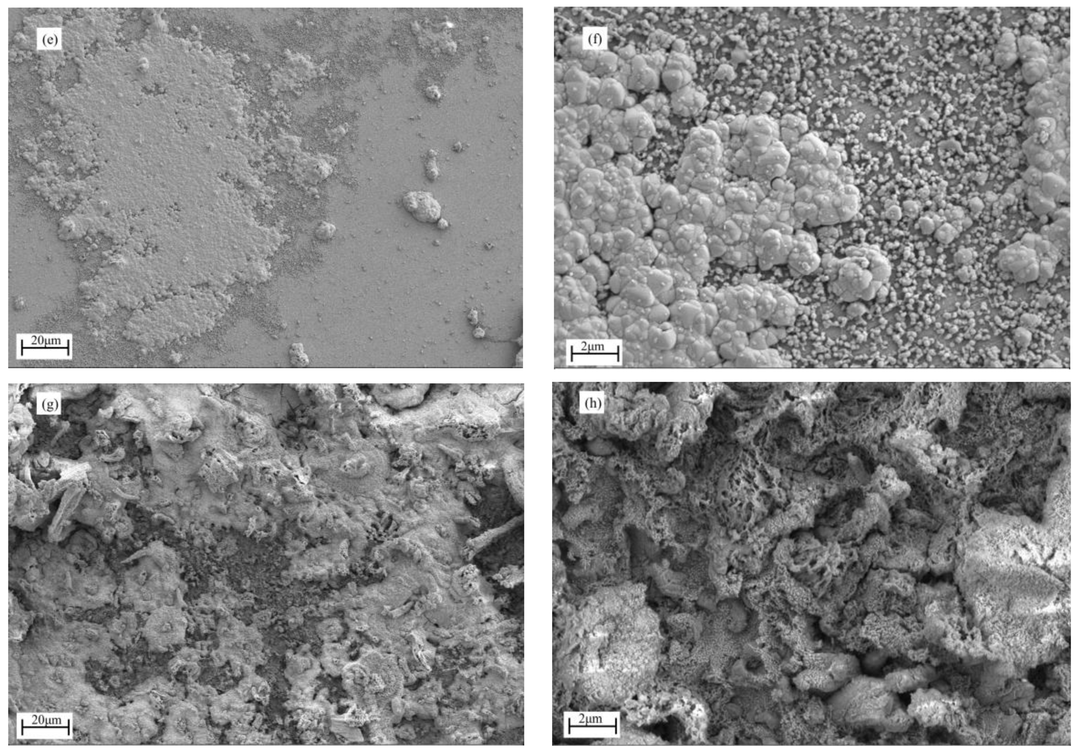 Coatings 14 00294 g008b