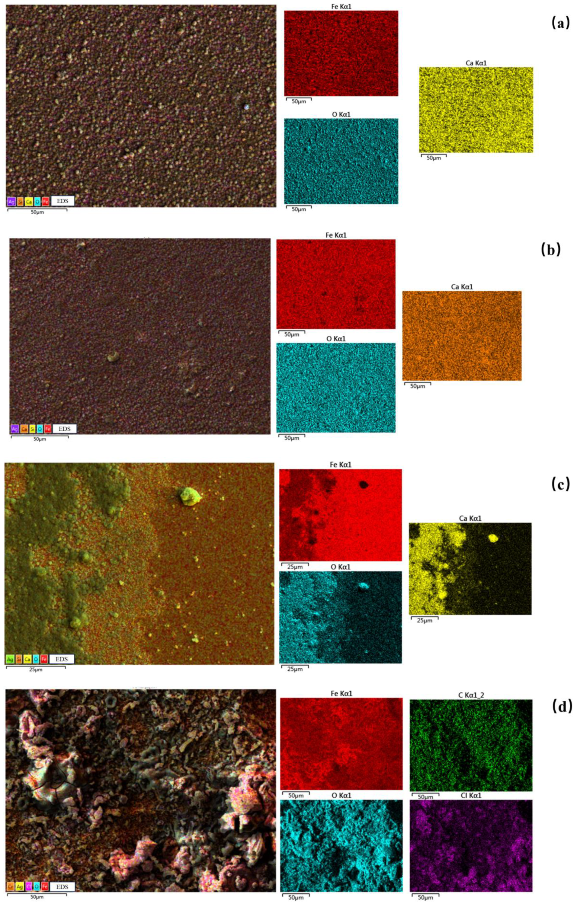 Coatings 14 00294 g009