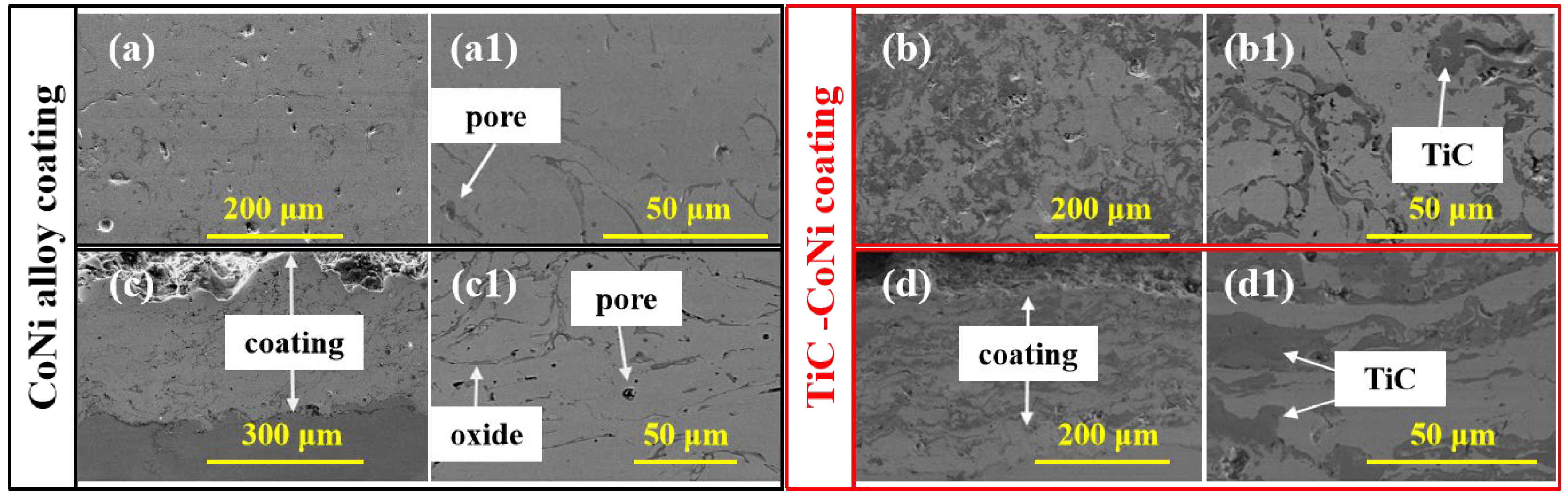 Coatings 14 00296 g002