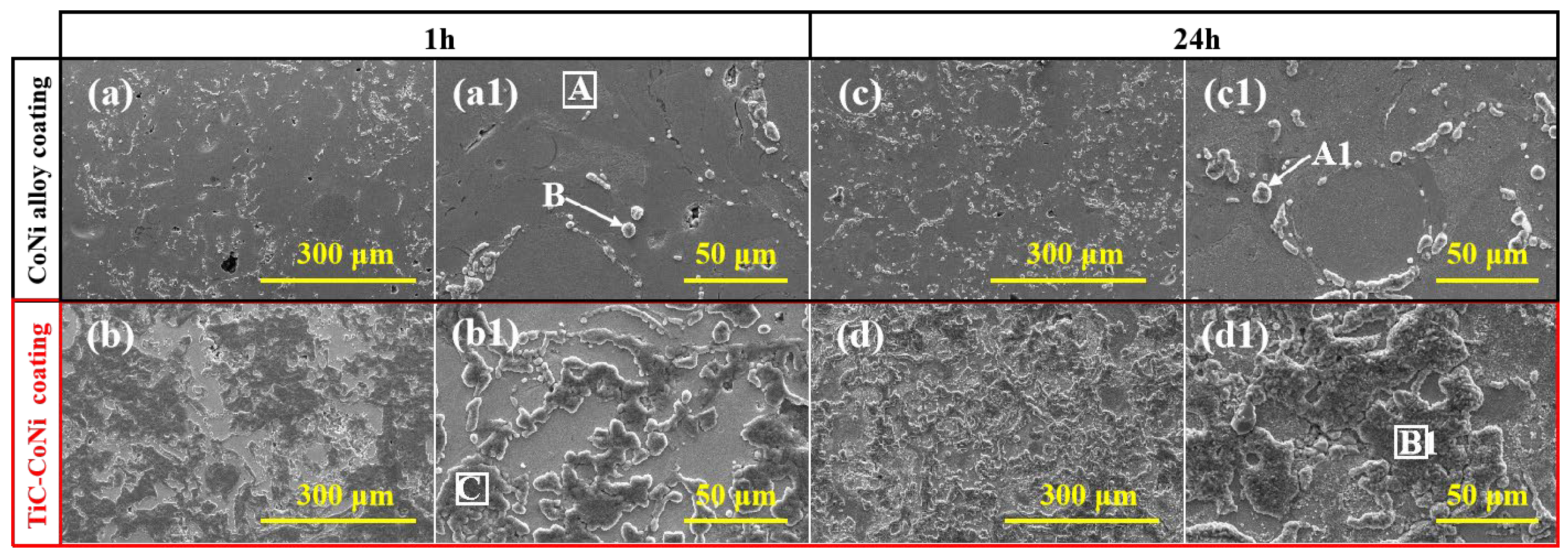 Coatings 14 00296 g004
