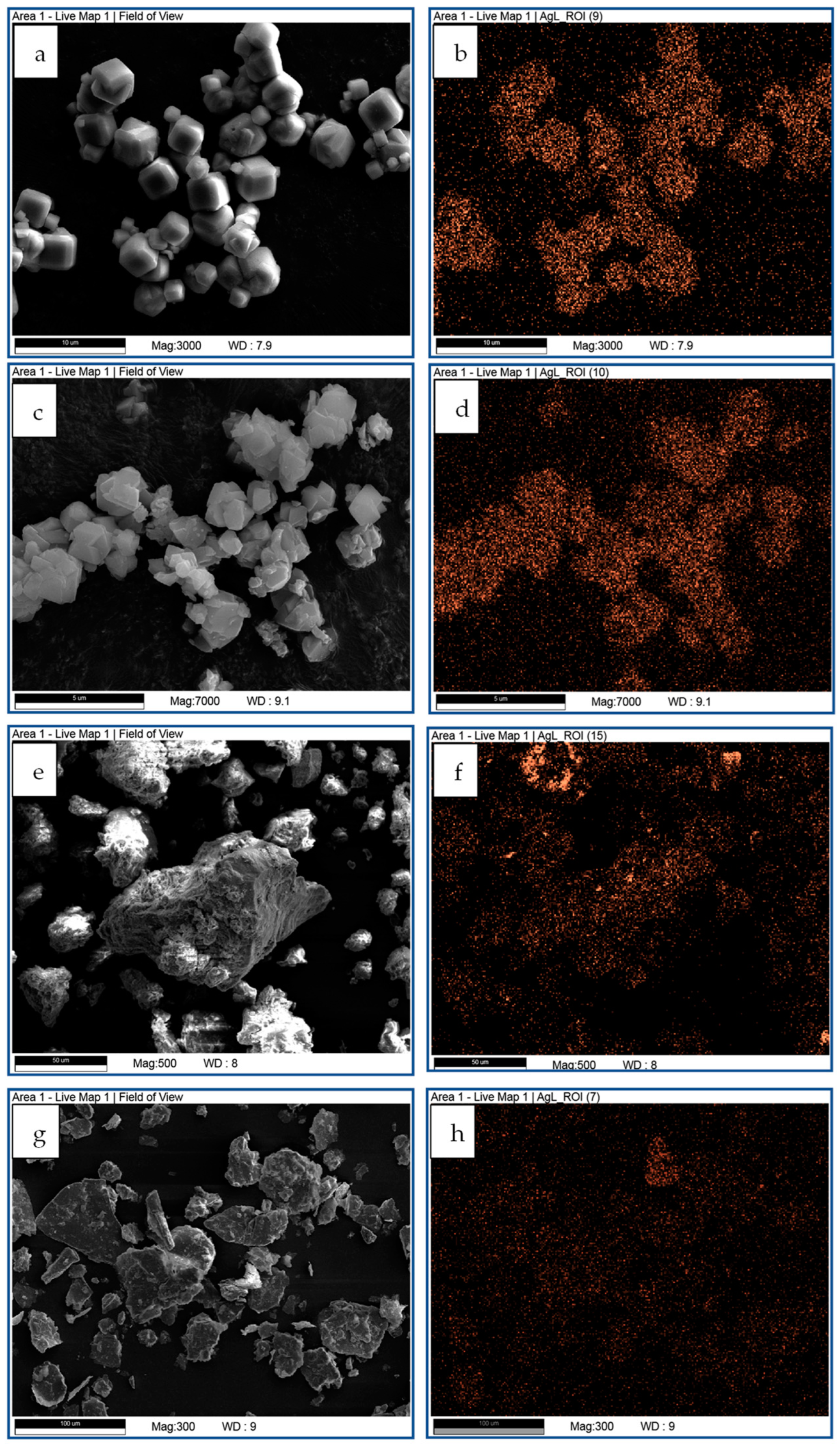 Coatings 14 00297 g002