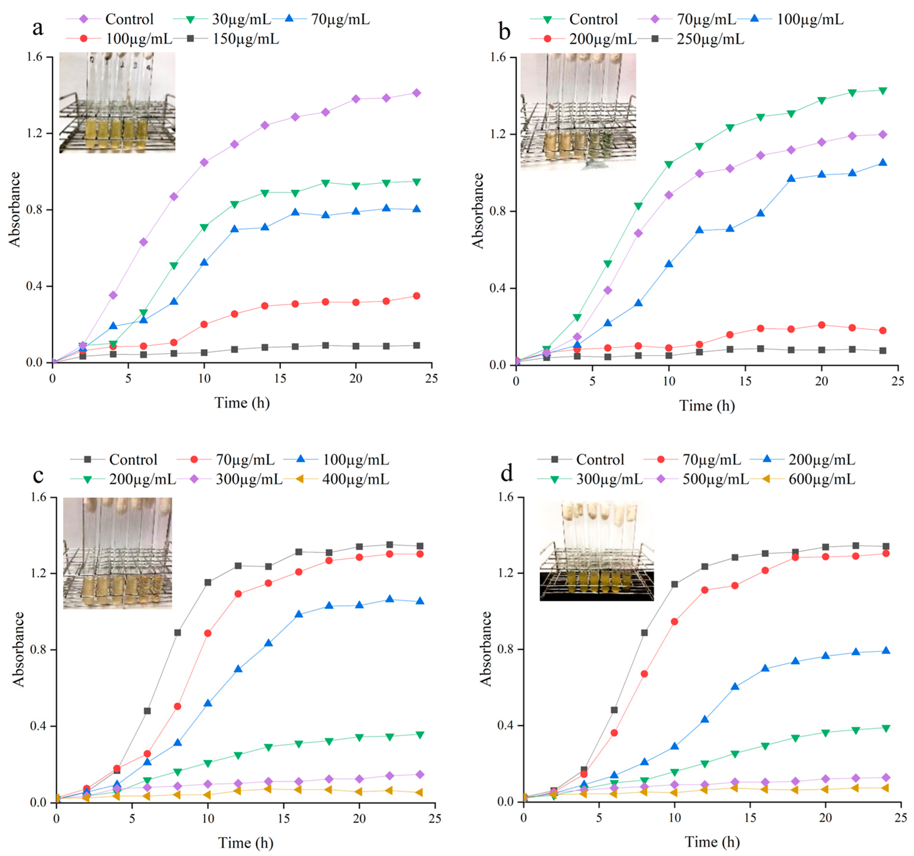 Coatings 14 00297 g003