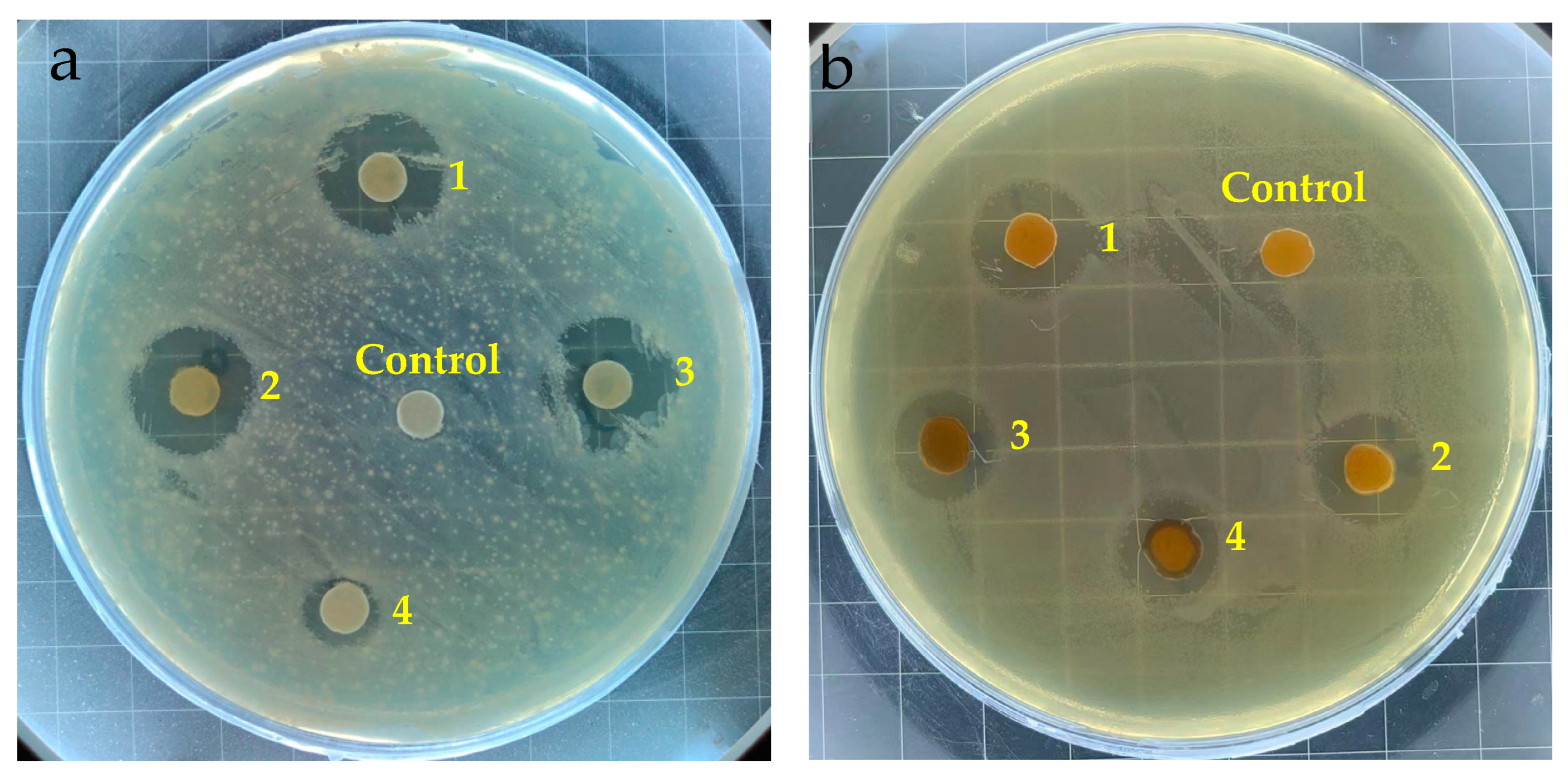 Coatings 14 00297 g004