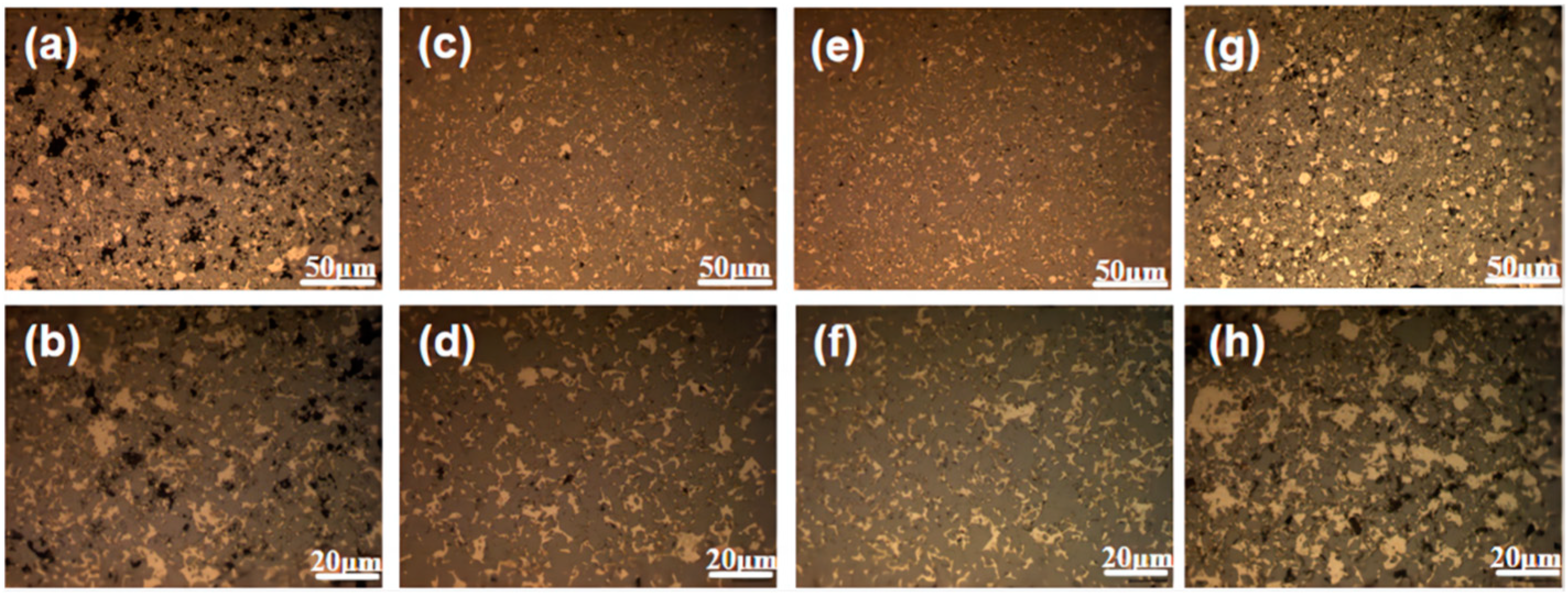 Coatings 14 00299 g003