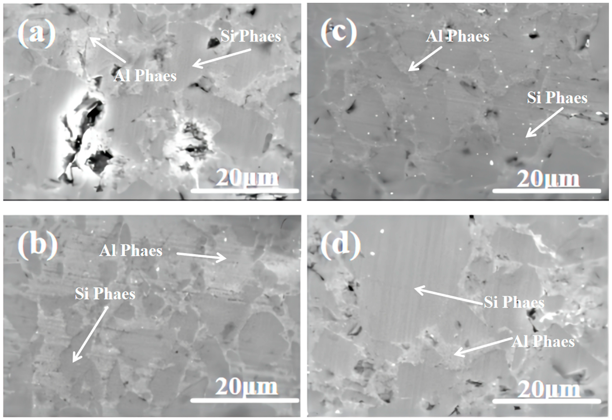 Coatings 14 00299 g004