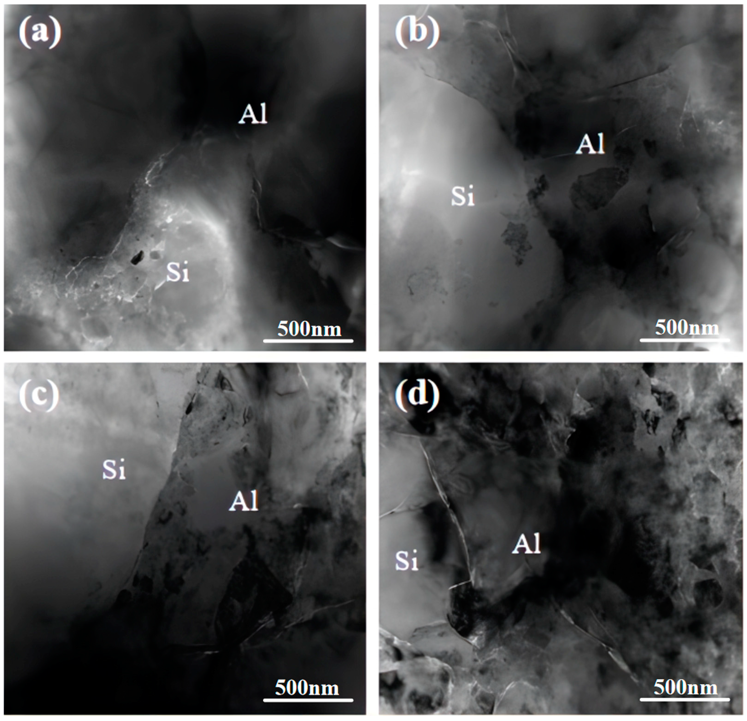 Coatings 14 00299 g010