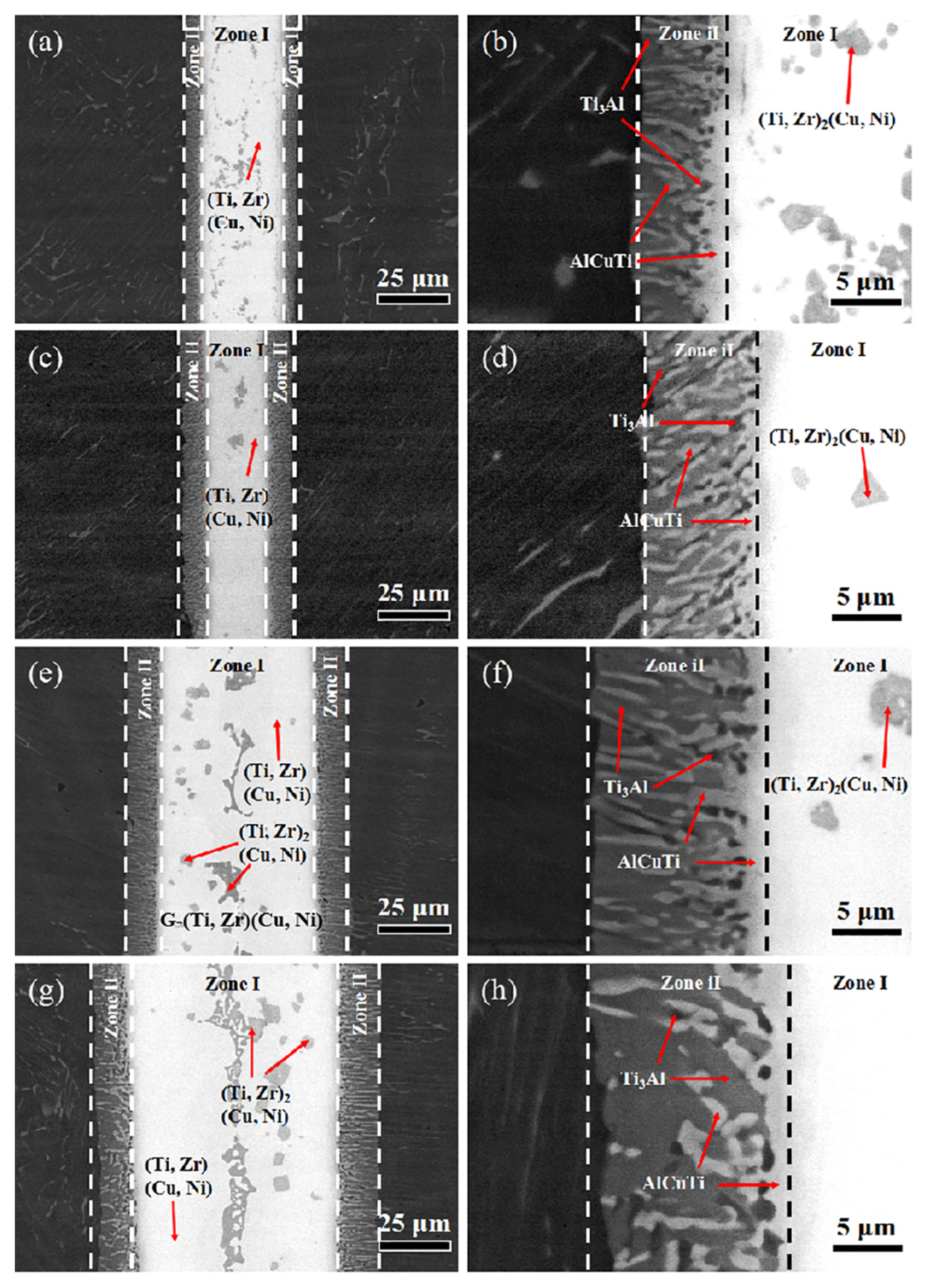 Coatings 14 00300 g006