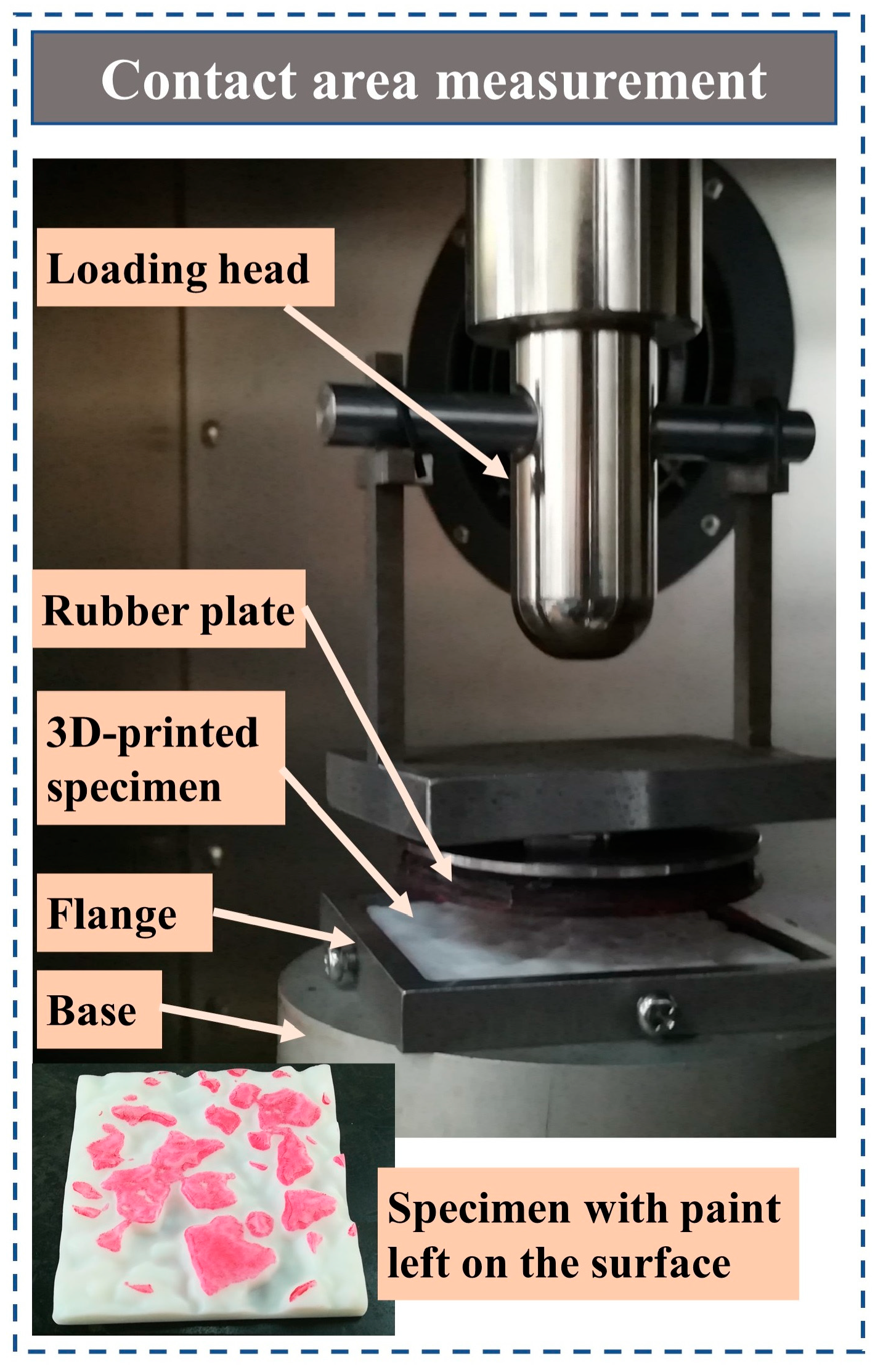 Coatings 14 00301 g004 Coatings 14 00301 g004