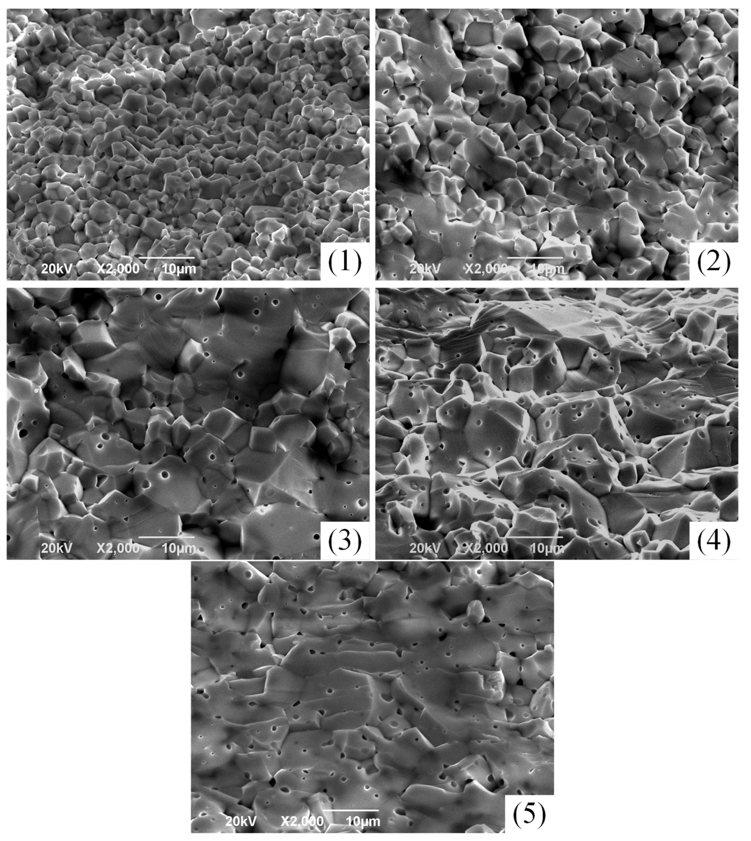 Coatings 14 00302 g002 Coatings 14 00302 g002