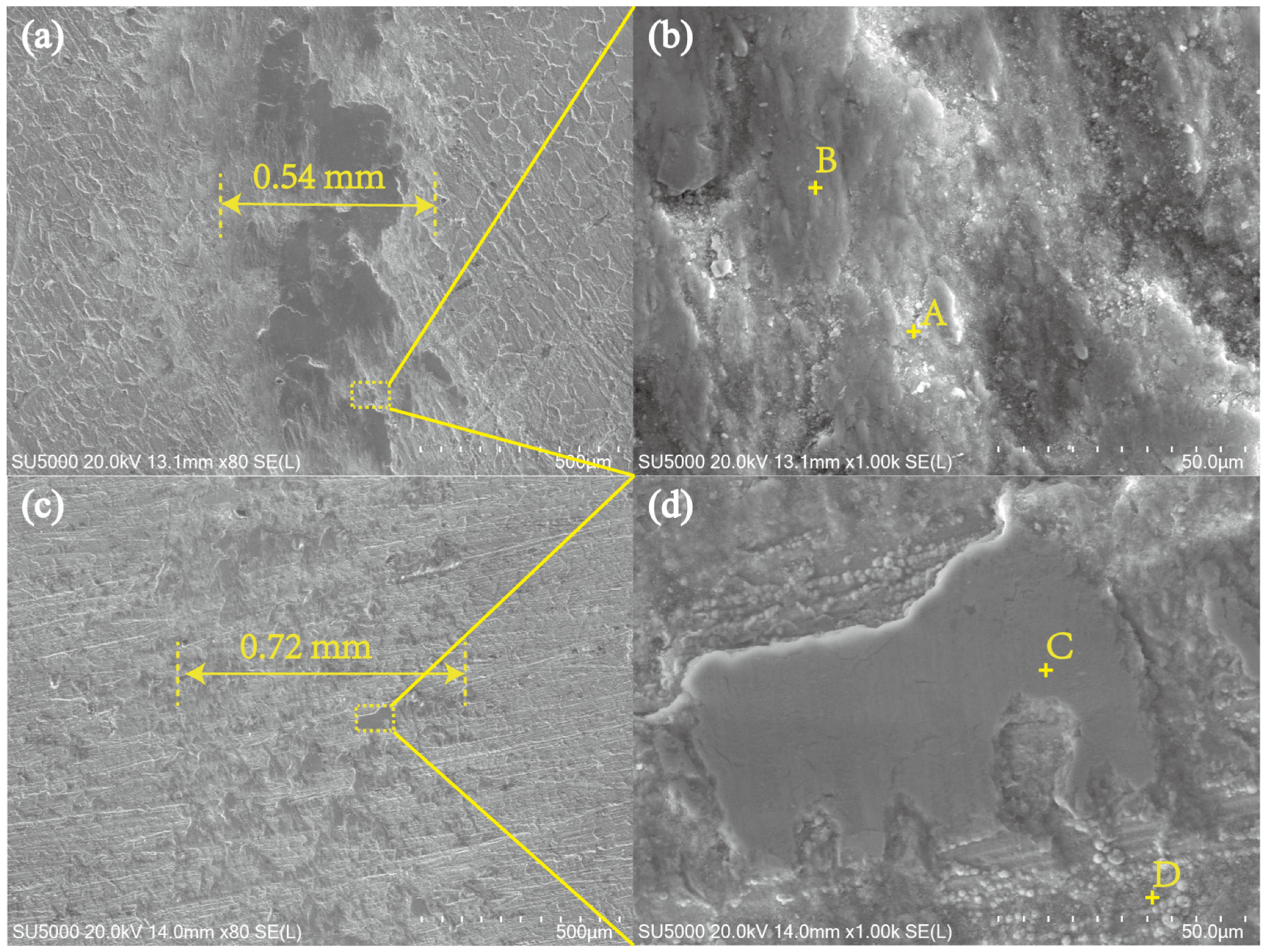 Coatings 14 00303 g008