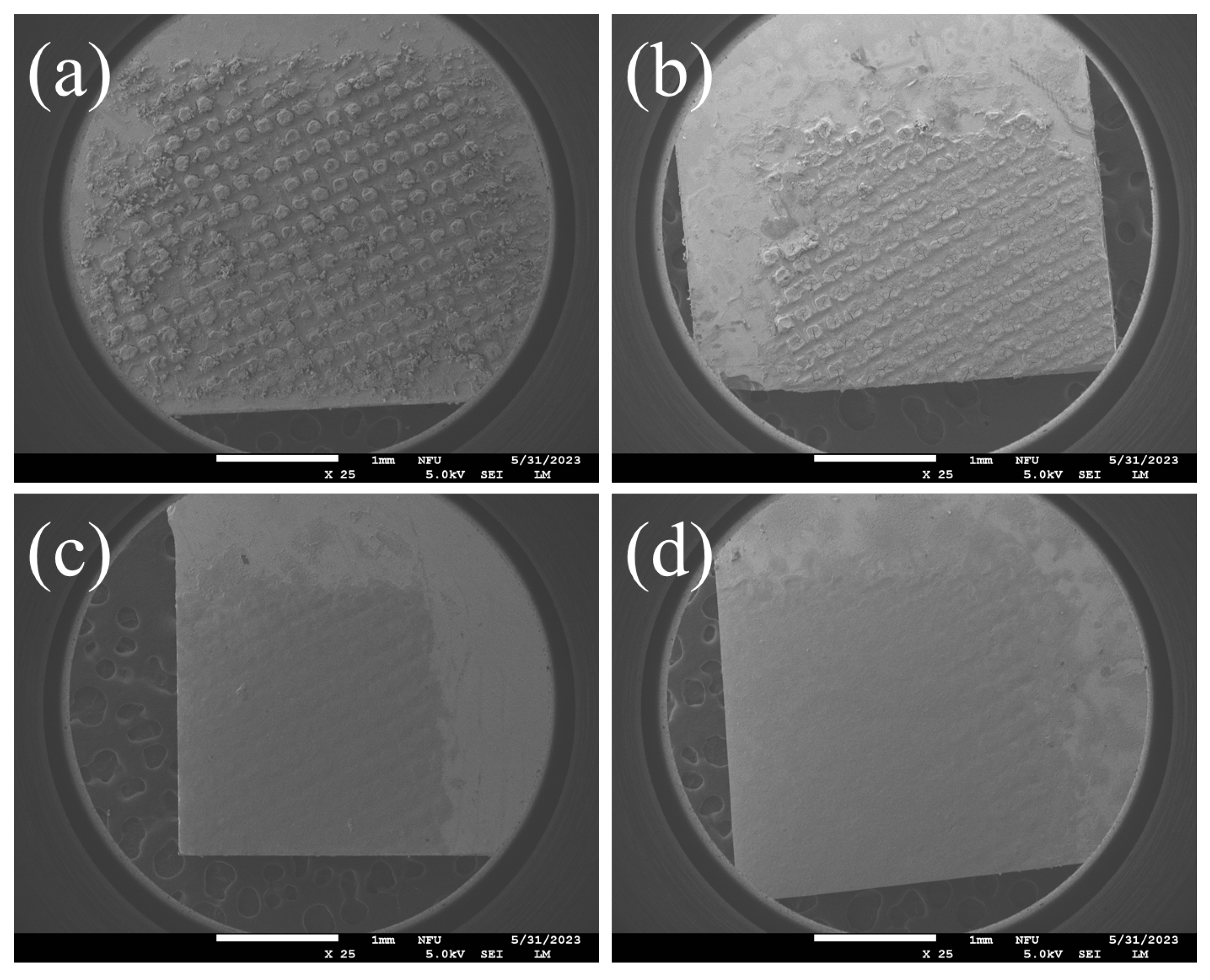 Coatings 14 00304 g002